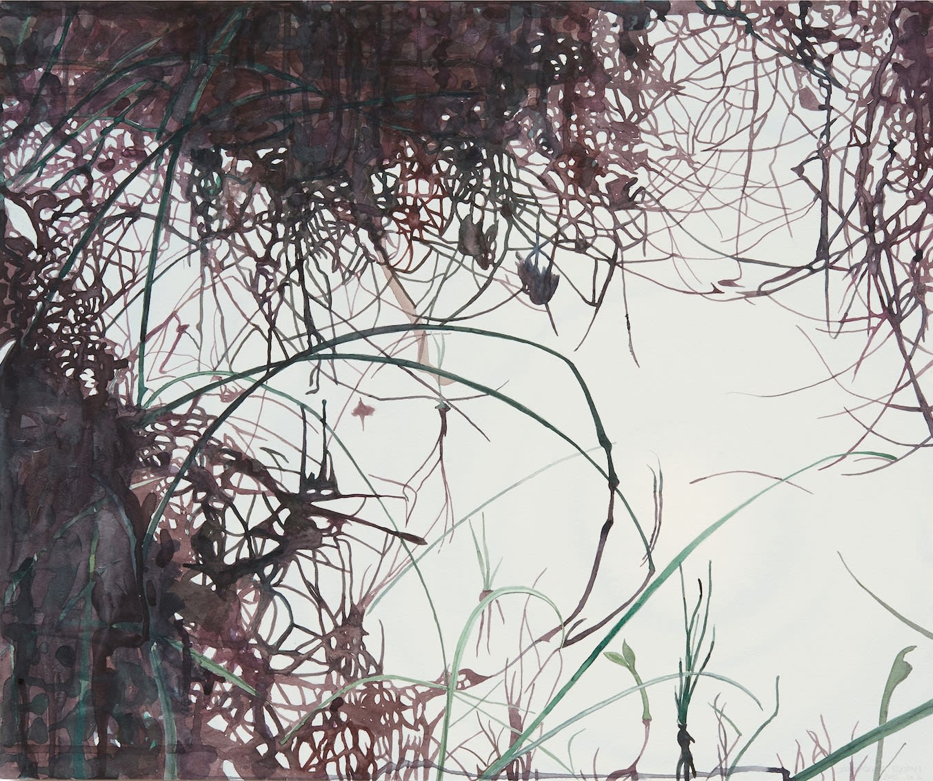 Mýrarskuggar vatnslitur 6, 2015. Vatnslitur á pappír / watercolour on paper on mdf. 50 x 60 cm