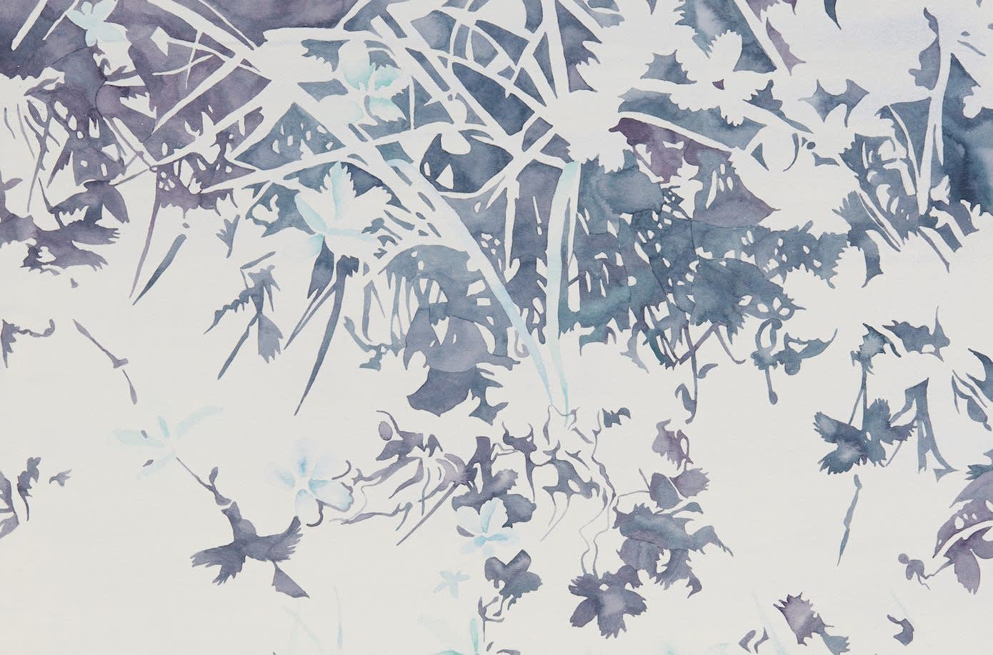 Mýrarskuggar vatnslitur 3, 2015. Vatnslitur á pappír / watercolour on paper on mdf. 50 x 60 cm