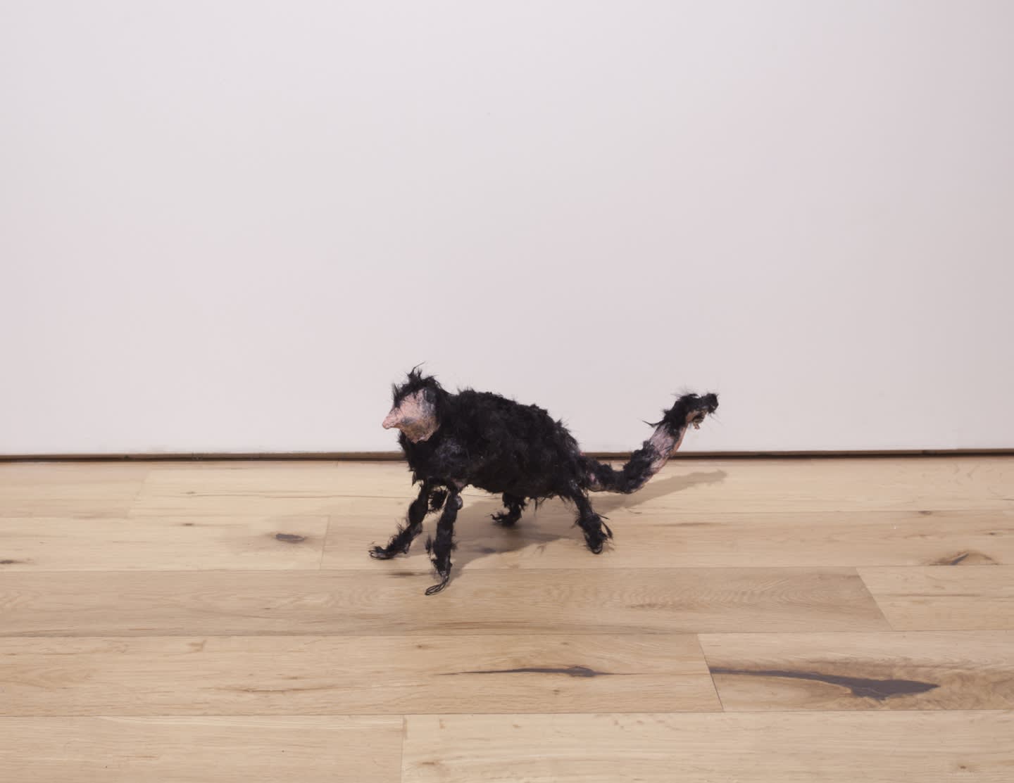 Sigga Björg Sigurðardóttir