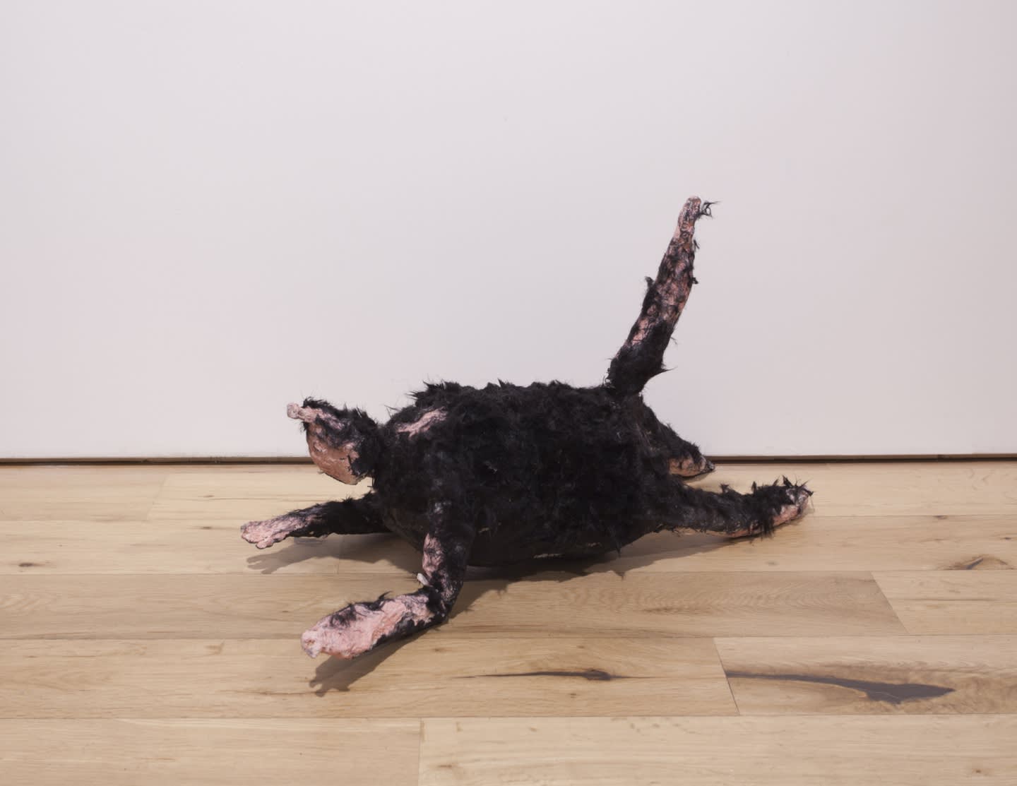 Sigga Björg Sigurðardóttir