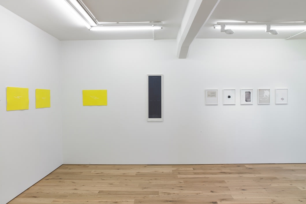 Sumarsýning / Summer Show