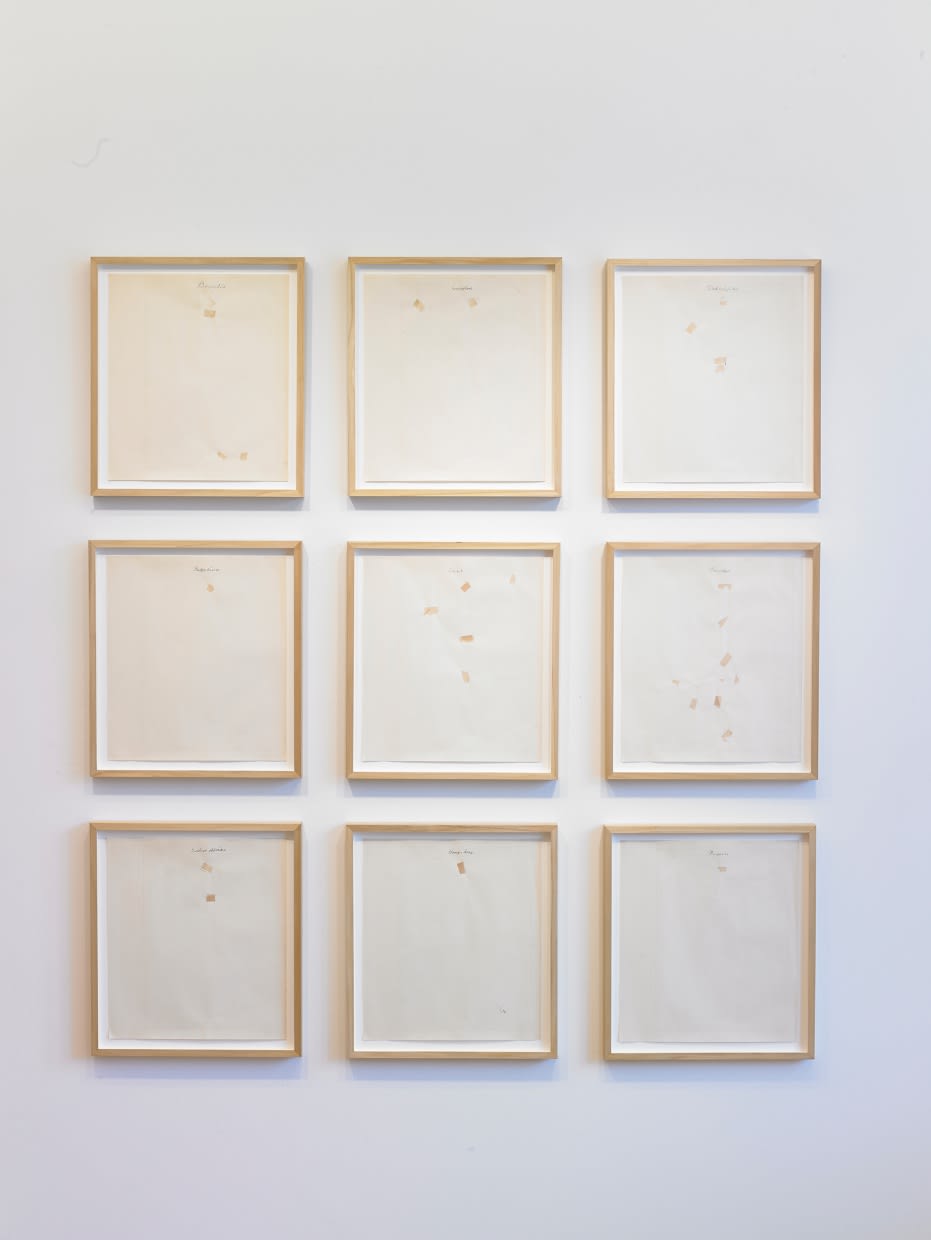 Þorvaldur Þorsteinsson Collectors Item, 2012 límband og blek á frímerkjapappír Collectors Item, 2012 tape and ink on stamp paper 29 x 32.5 cm each ÞÞ0023