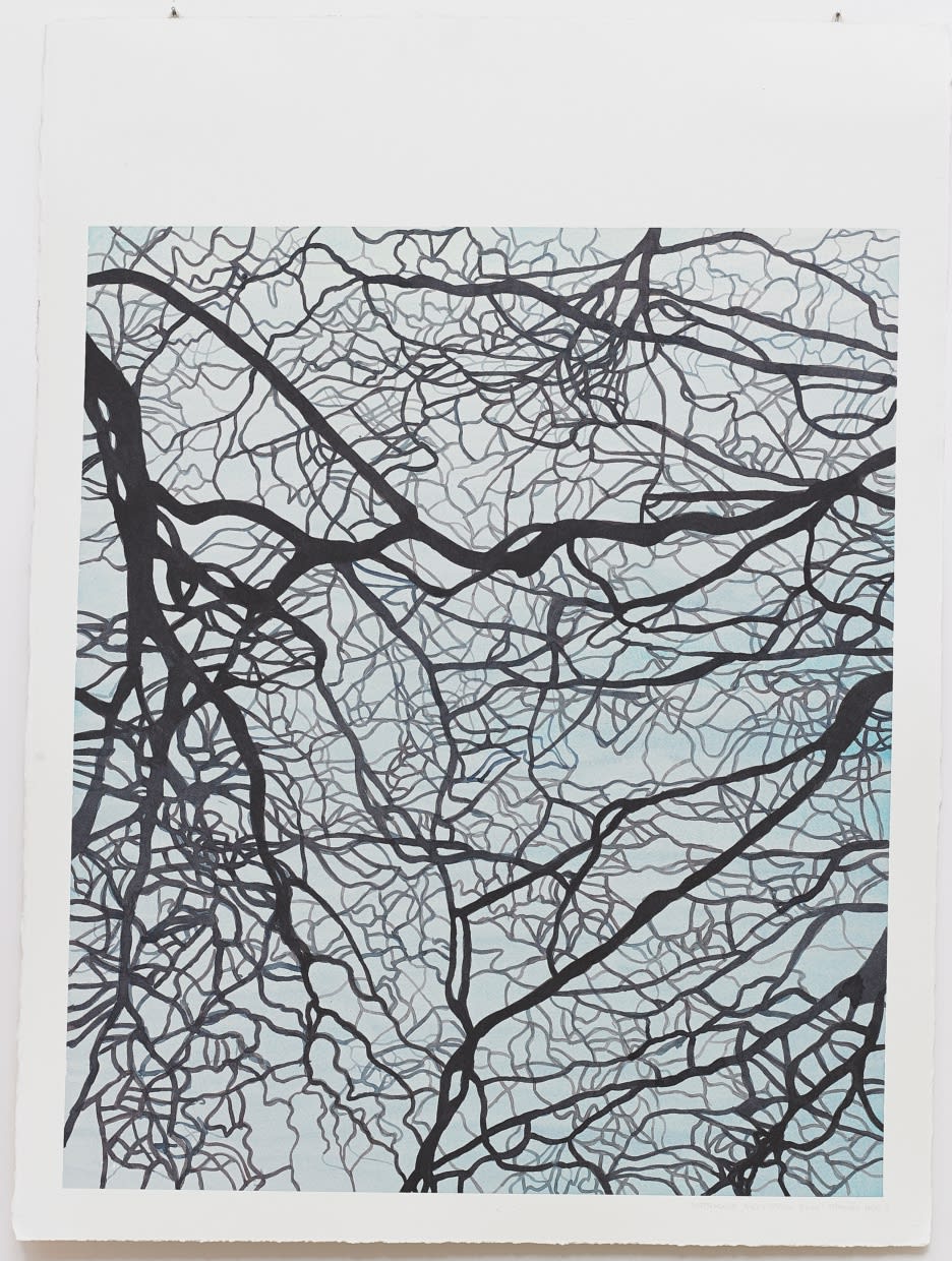 Sigtryggur Bjarni Baldvinsson Stanmer Park I, 2014 75 x 56 cm SBB0046