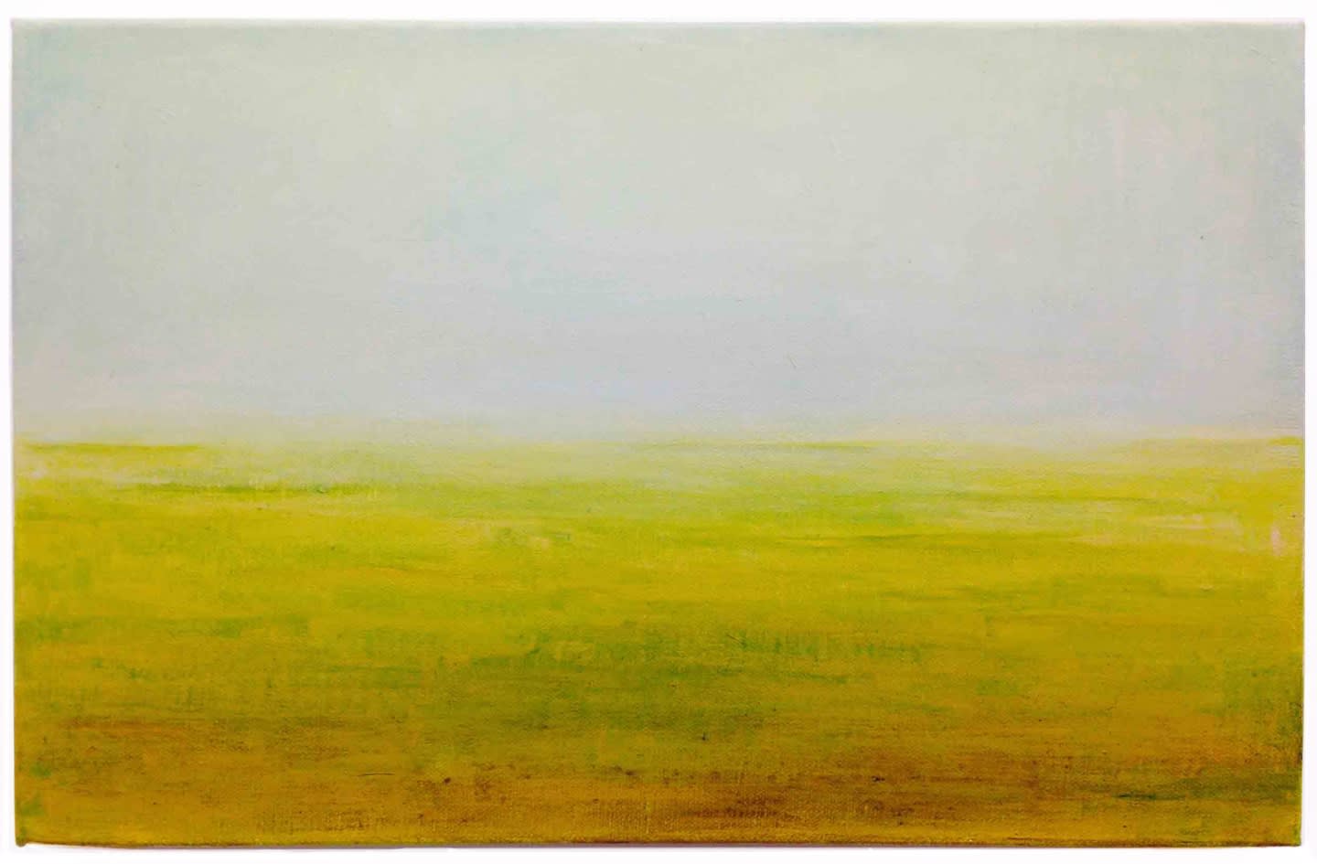 Georg Guðni Án titils, 2002 olía á striga Untitled, 2002 oil on canvas 28 x 44 cm GGH0021