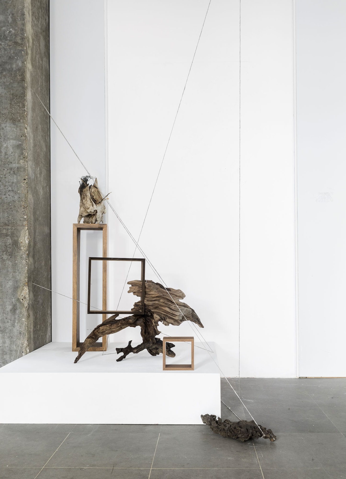 Cicatrices du silence