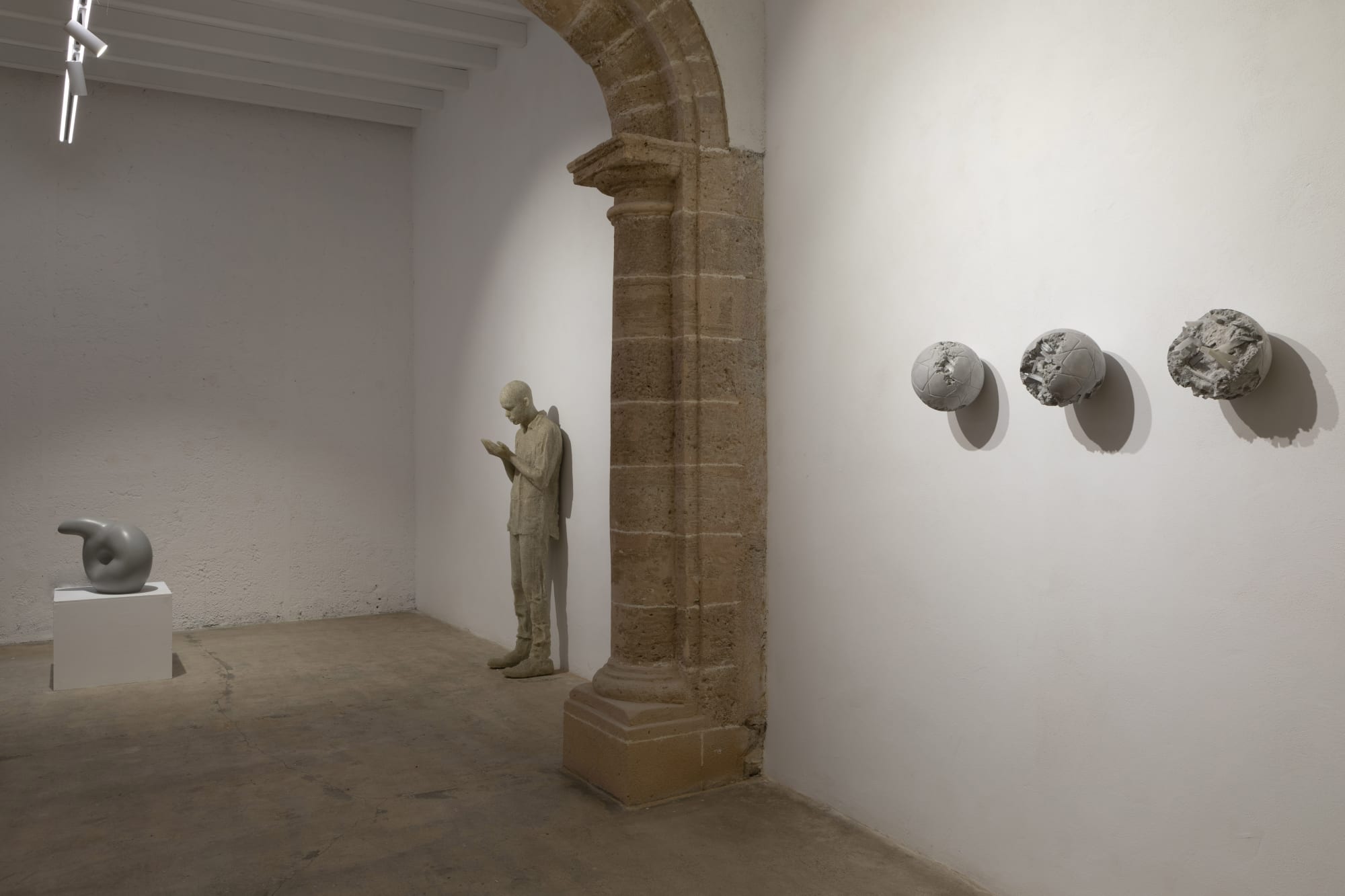 We Killed the Bunny!