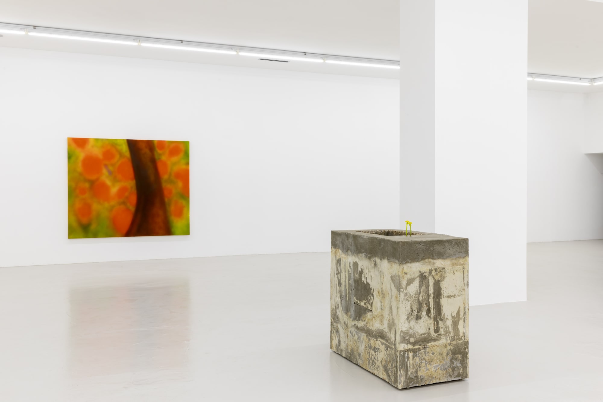 Yves Scherer. By Your Side