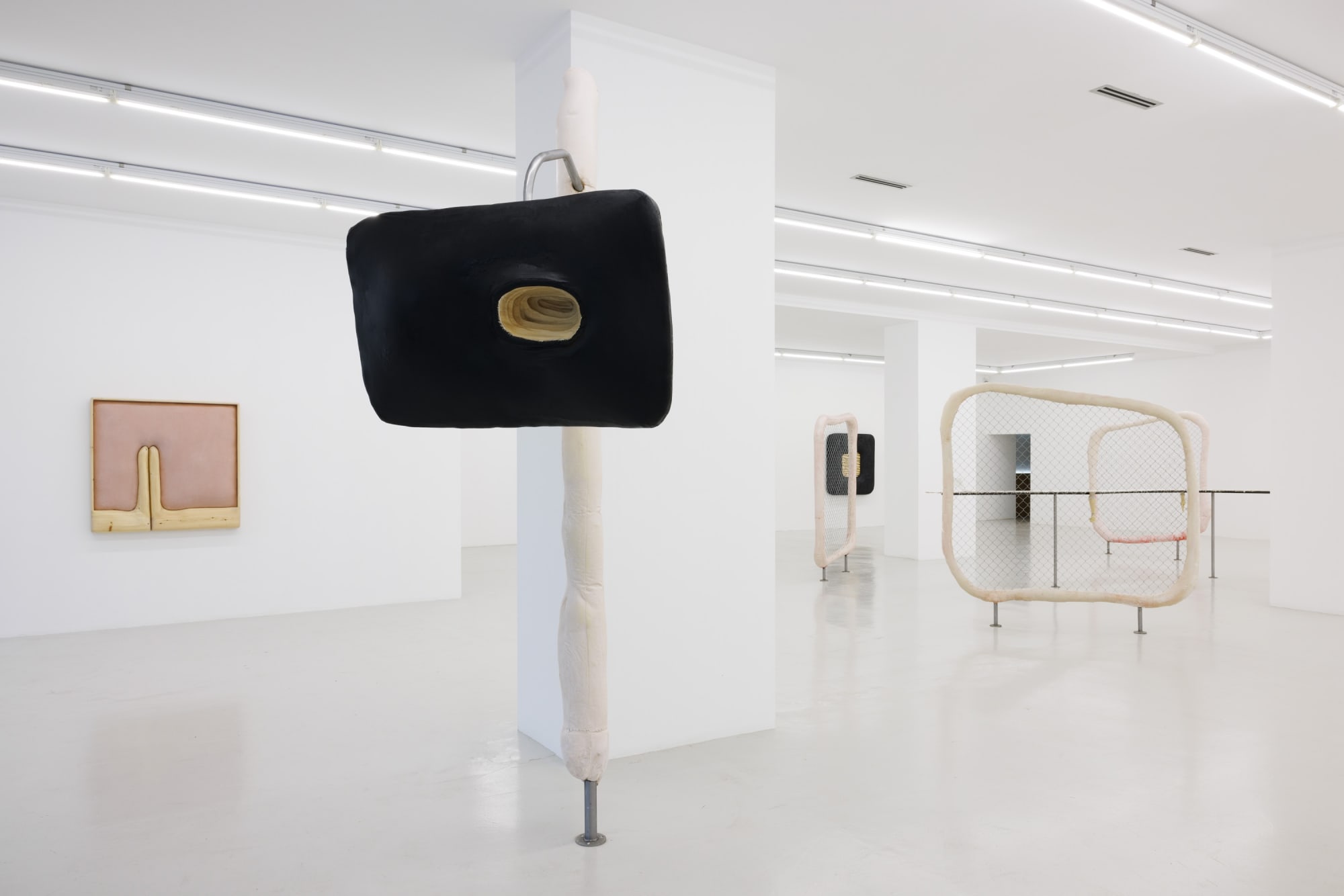 Outer Skin. Inner Gaze | curated by Giovanna Manzotti