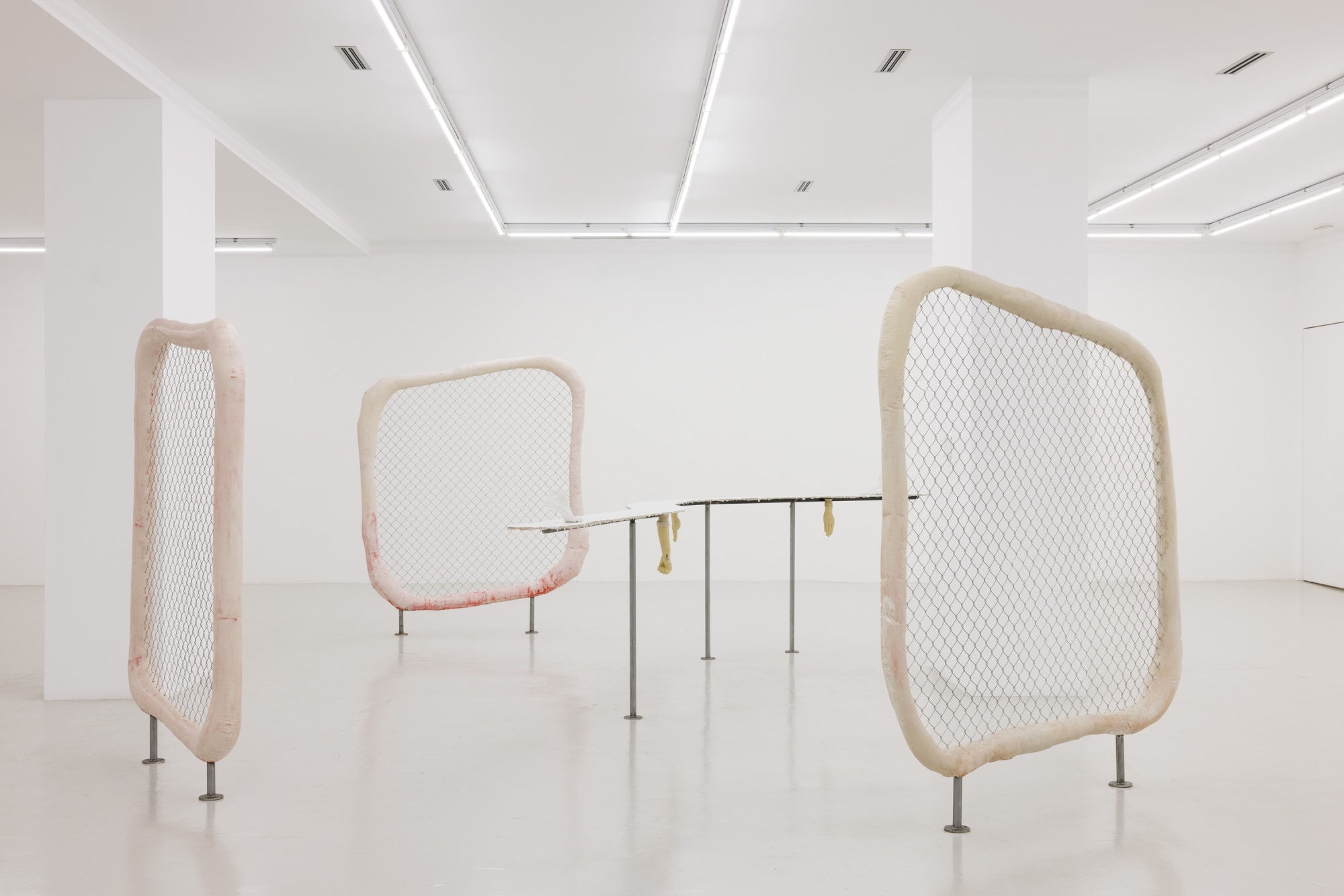 Outer Skin. Inner Gaze | curated by Giovanna Manzotti