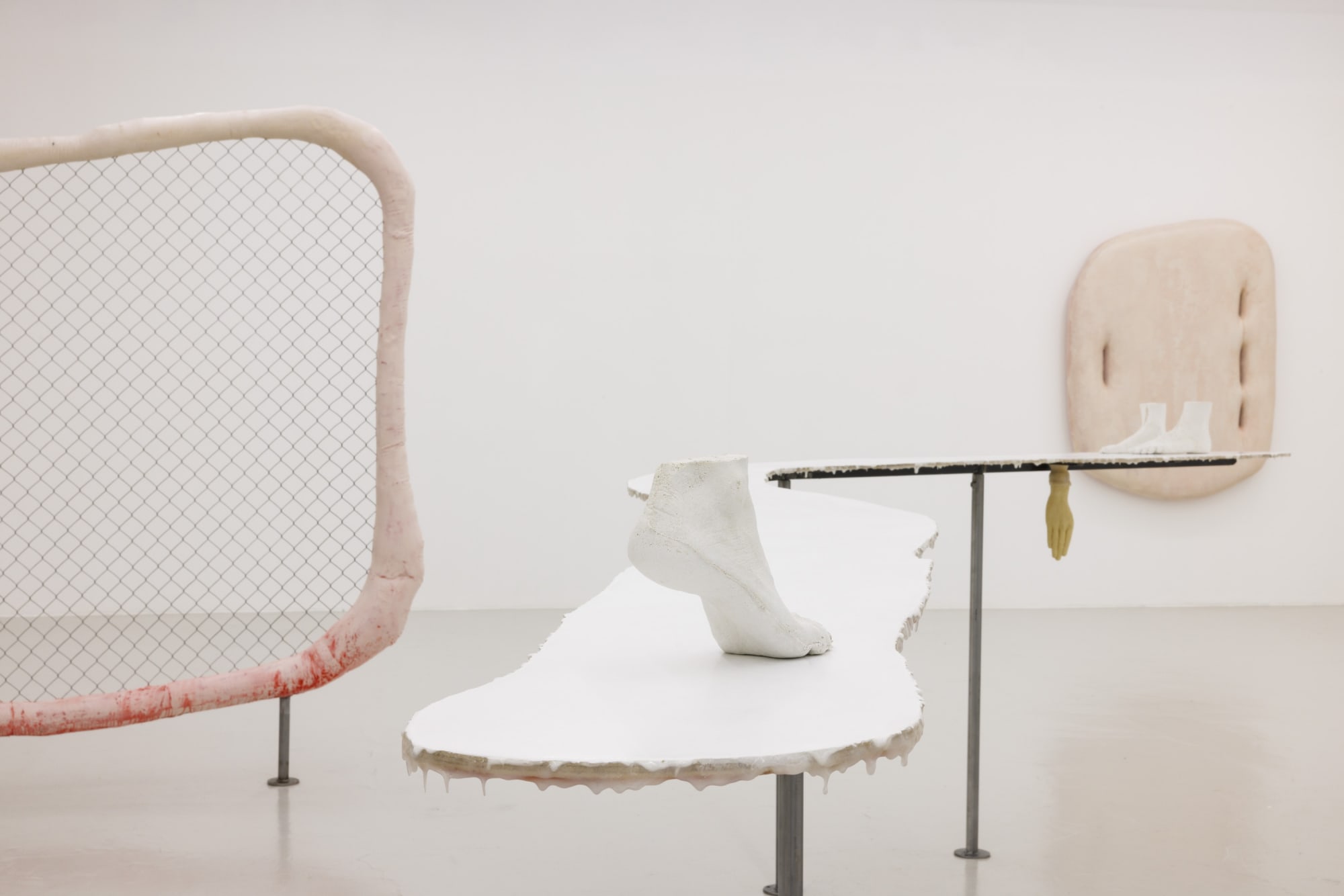 Outer Skin. Inner Gaze | curated by Giovanna Manzotti