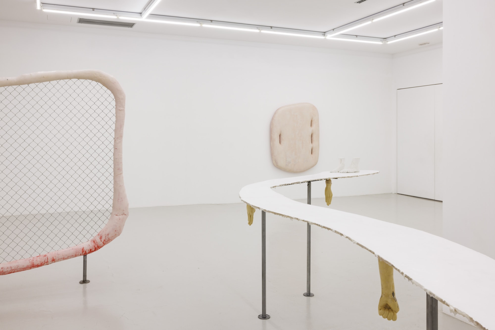 Outer Skin. Inner Gaze | curated by Giovanna Manzotti