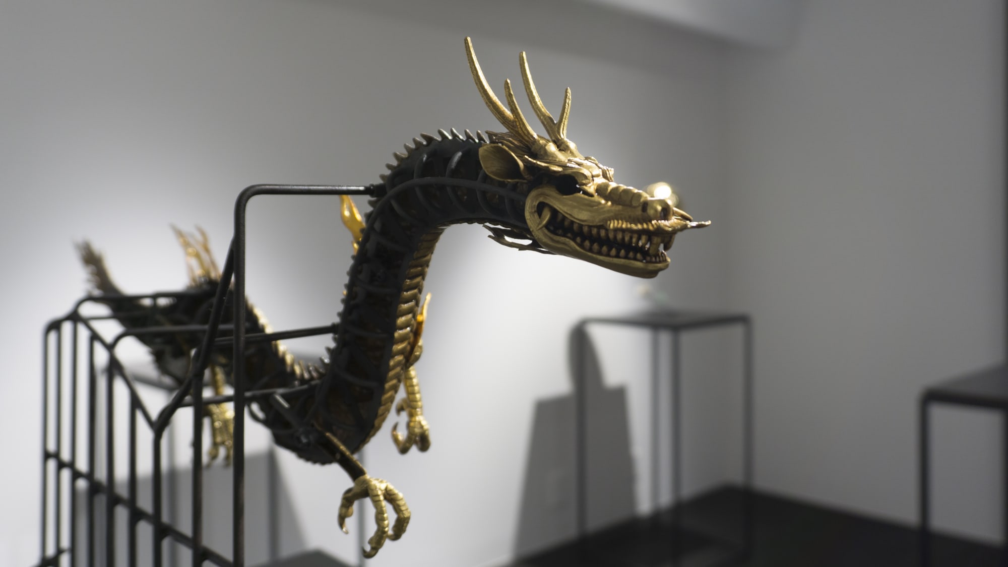 水代 達史：Rising