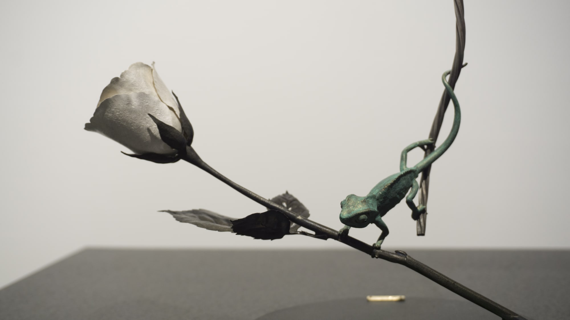 水代 達史：Rising