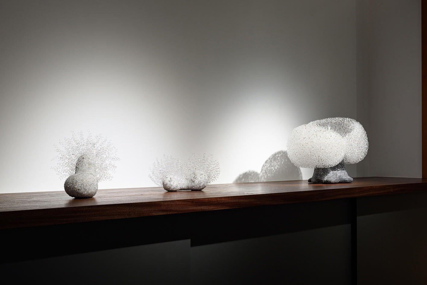 菅野 有紀子: 「撫でる、抱き寄せる、リードを持つ」