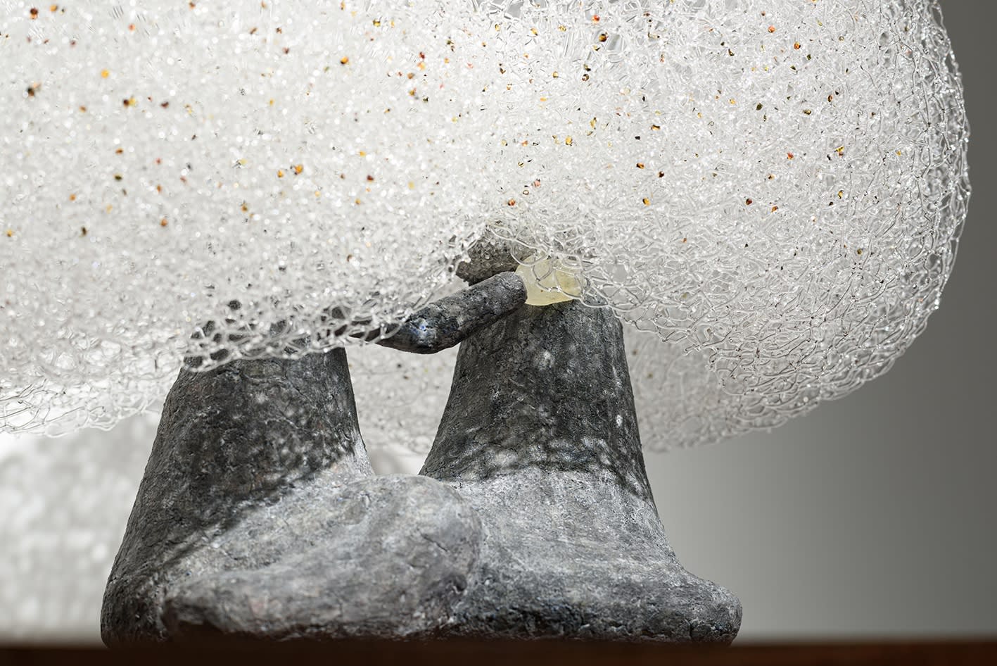 菅野 有紀子: 「撫でる、抱き寄せる、リードを持つ」