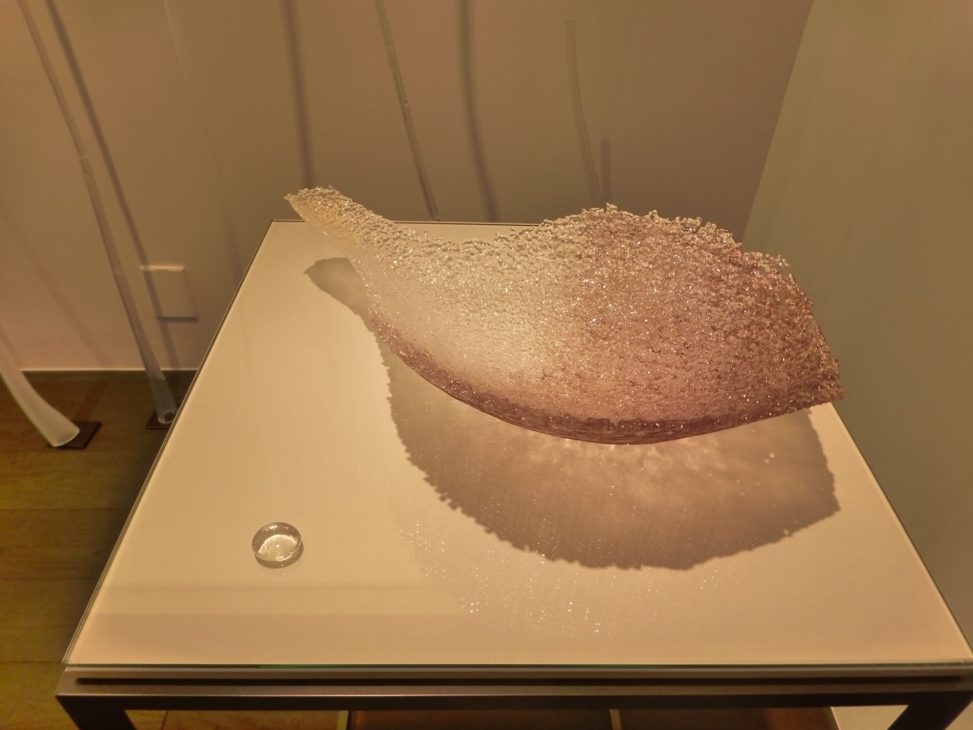 野田朗子：蓮と生きるー