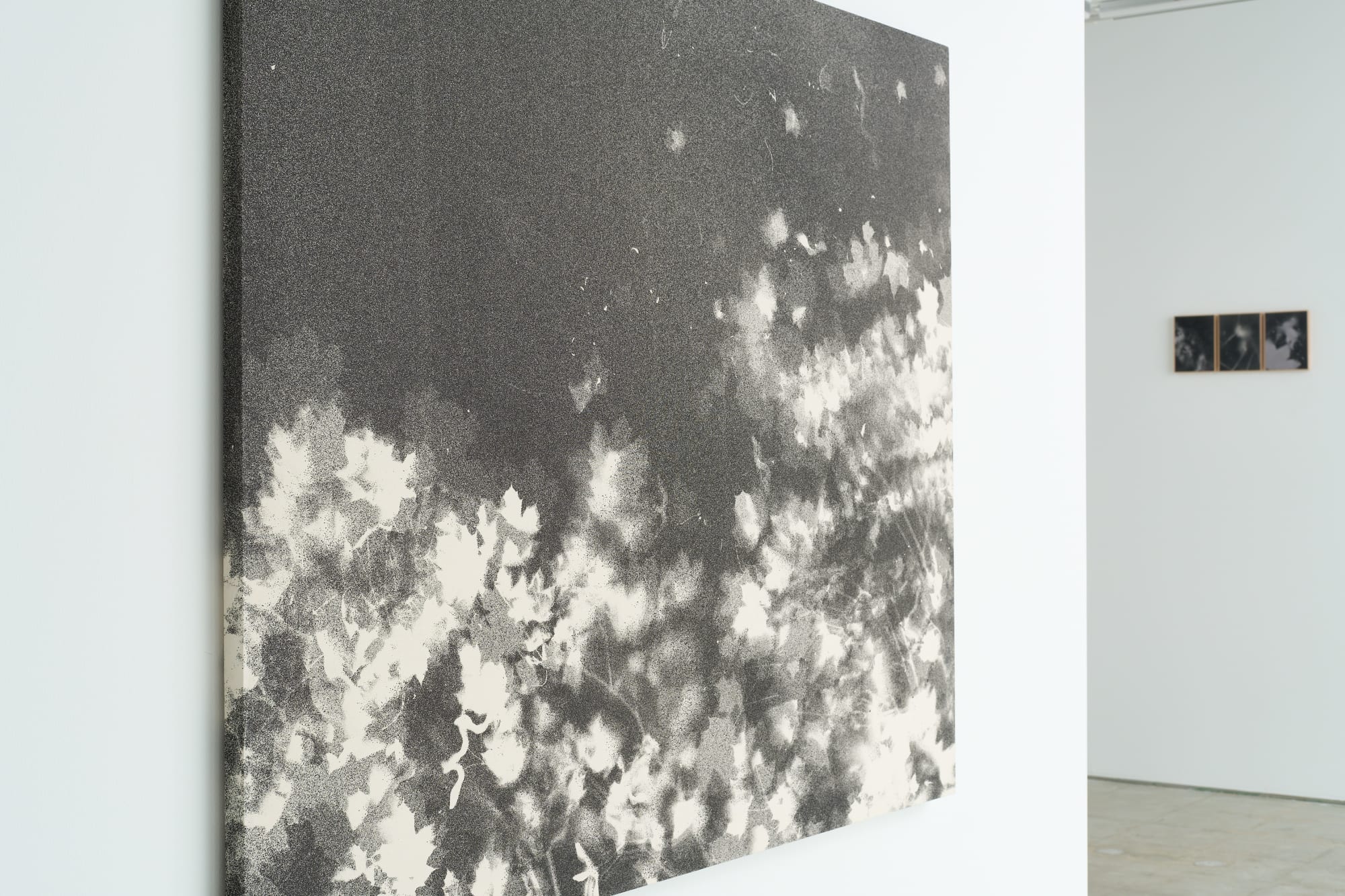 菊間 雄一郎：「夏の痕跡」