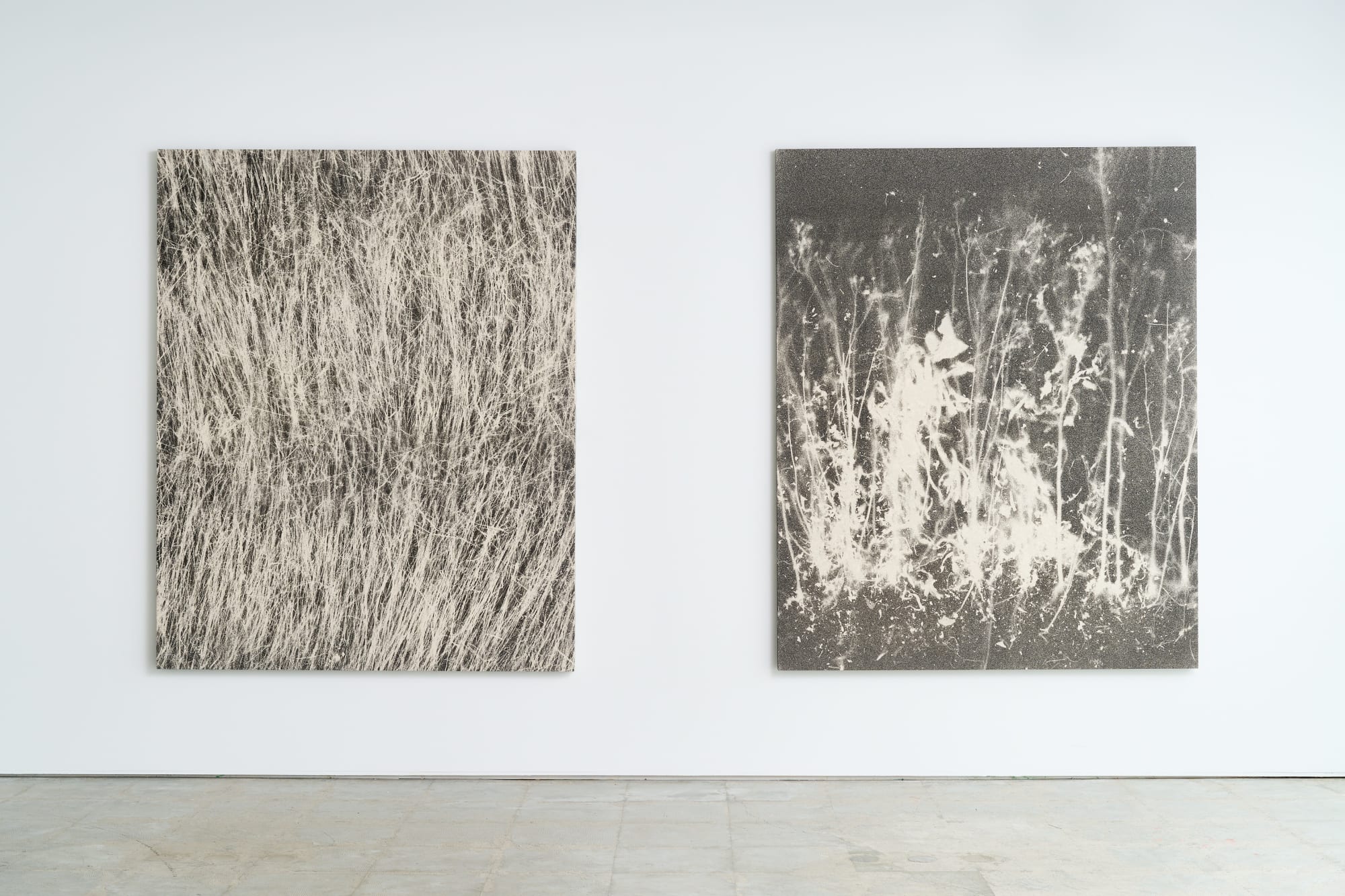 菊間 雄一郎：「夏の痕跡」