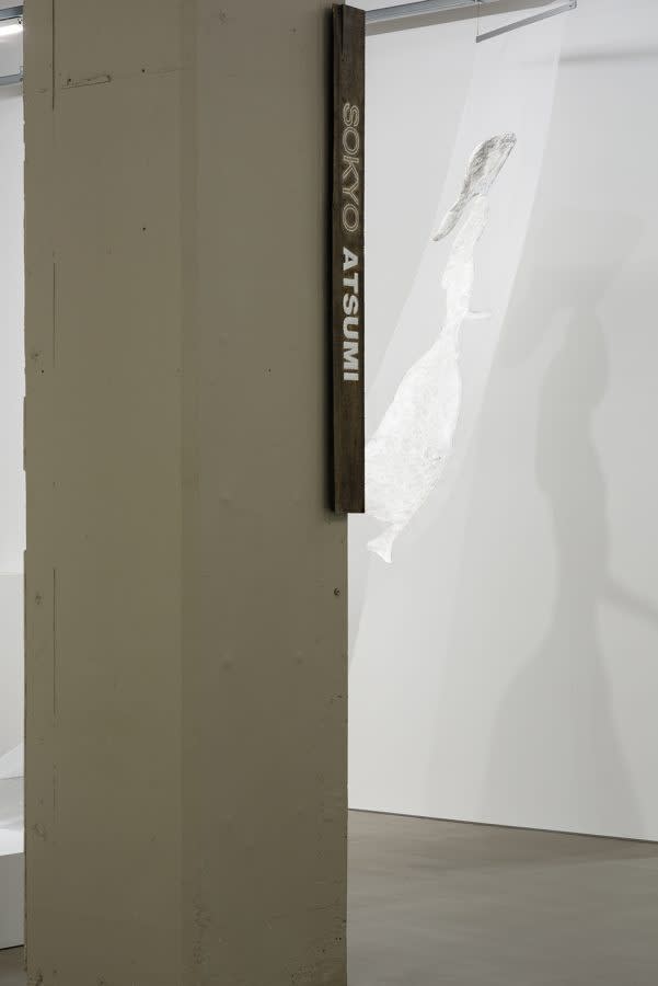 湊 茉莉: 「あはうみのつちときおく、だいちとのたいわ」