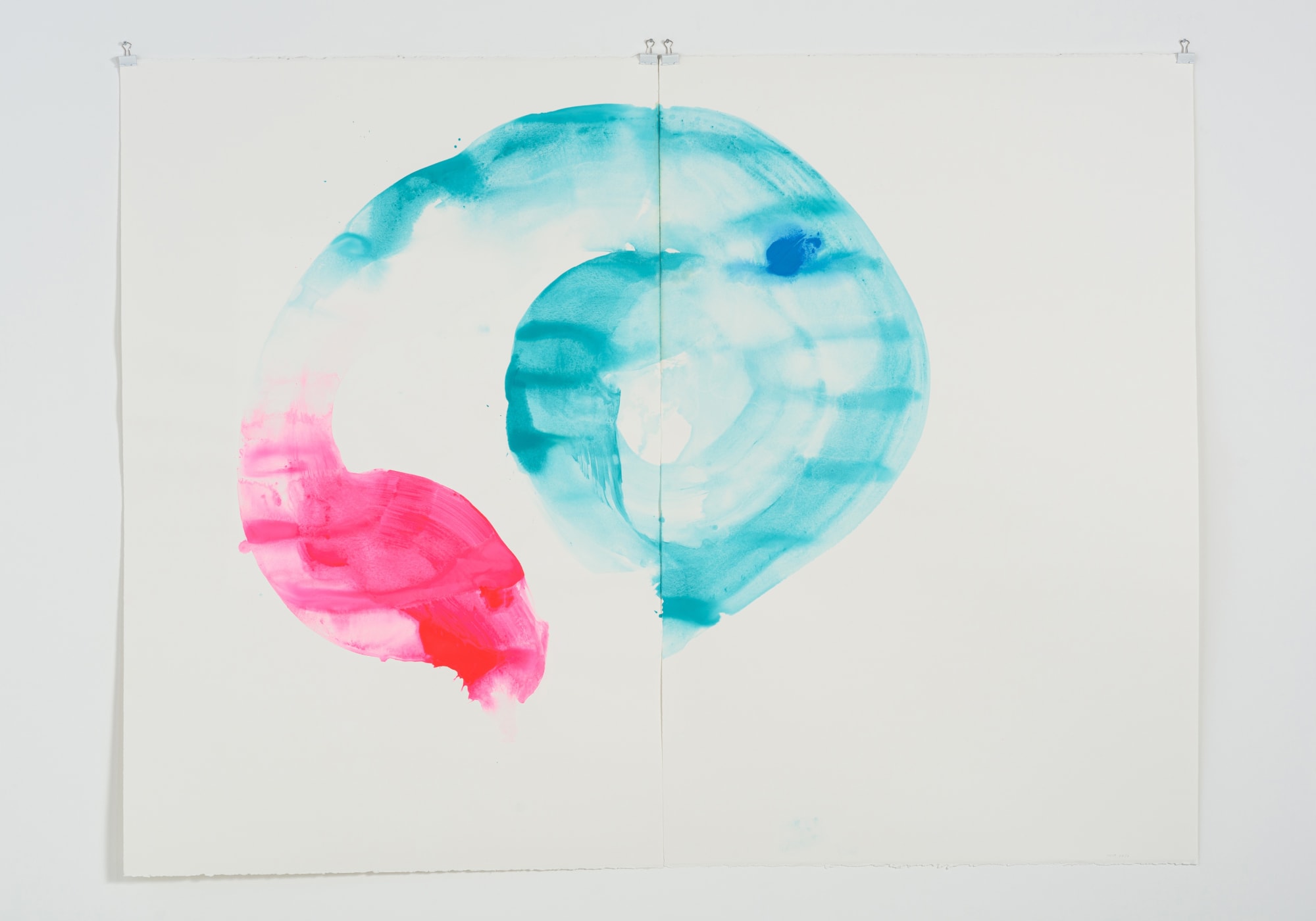 Roger Caillois Series II/ ロジェ＝カイヨワシリーズII 2016, アクリル、紙(BFK Rives)/ Acrylic on paper(BFK Rives) H120 x W160 cm