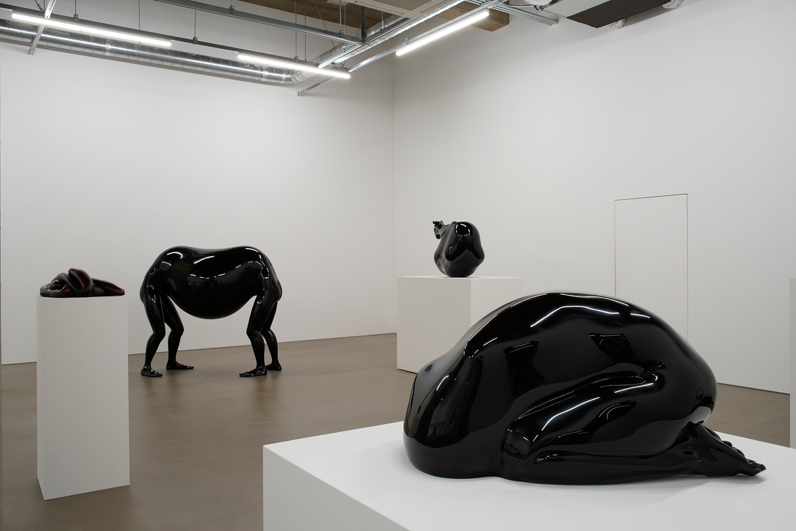 青木 千絵：沈静なる⾝体