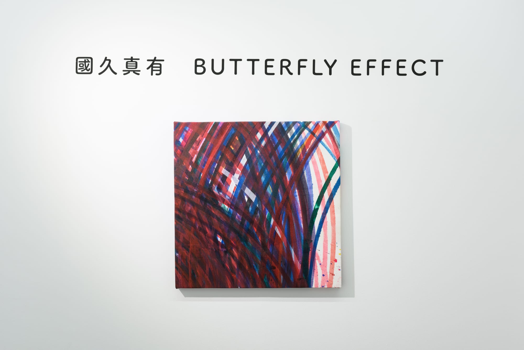 國久 真有 : 「THE BUTTERFLY EFFECT」