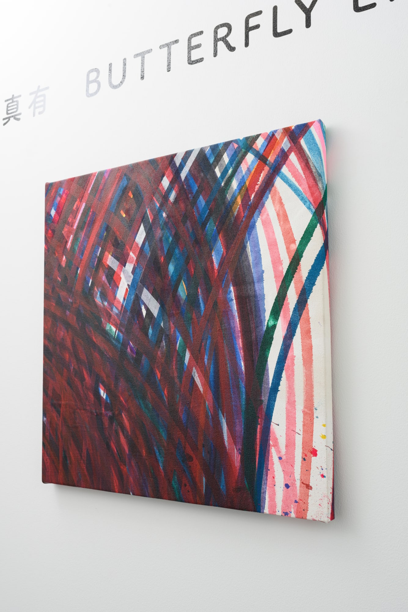 國久 真有 : 「THE BUTTERFLY EFFECT」