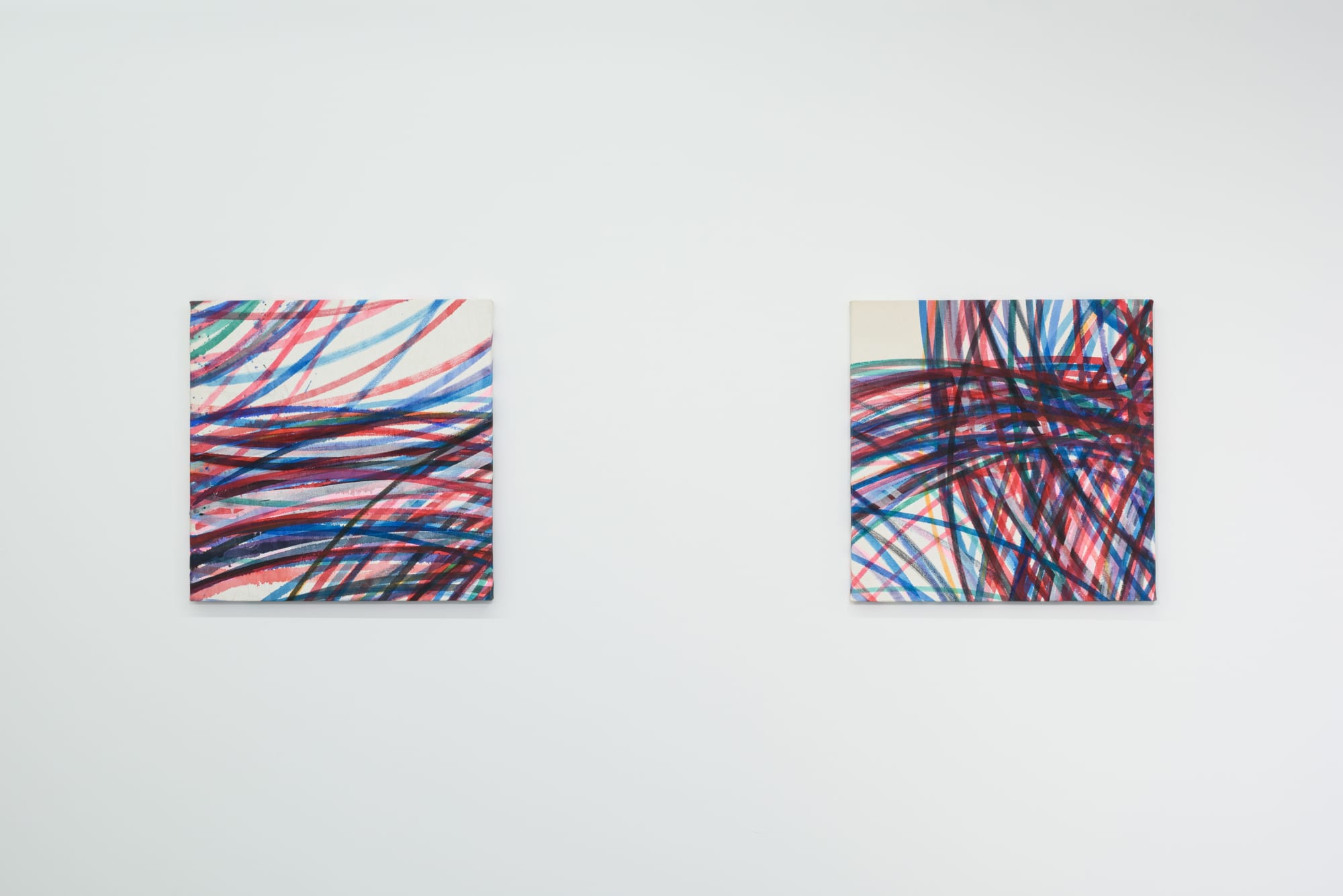 國久 真有 : 「THE BUTTERFLY EFFECT」