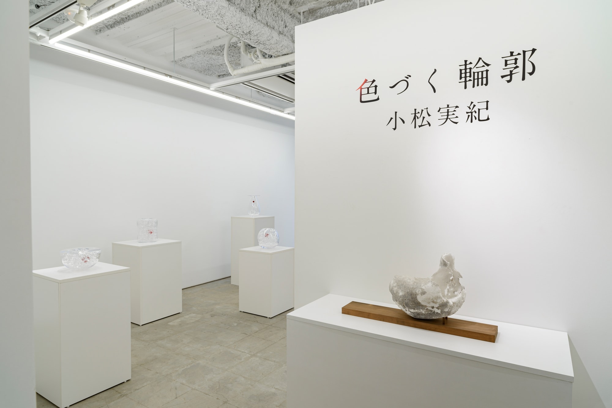 小松 実紀：色づく輪郭