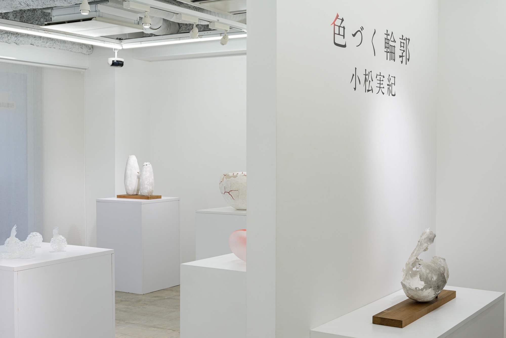 小松 実紀：色づく輪郭