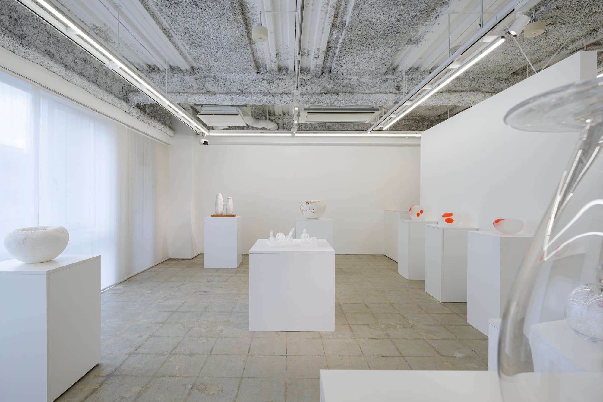 小松 実紀：色づく輪郭