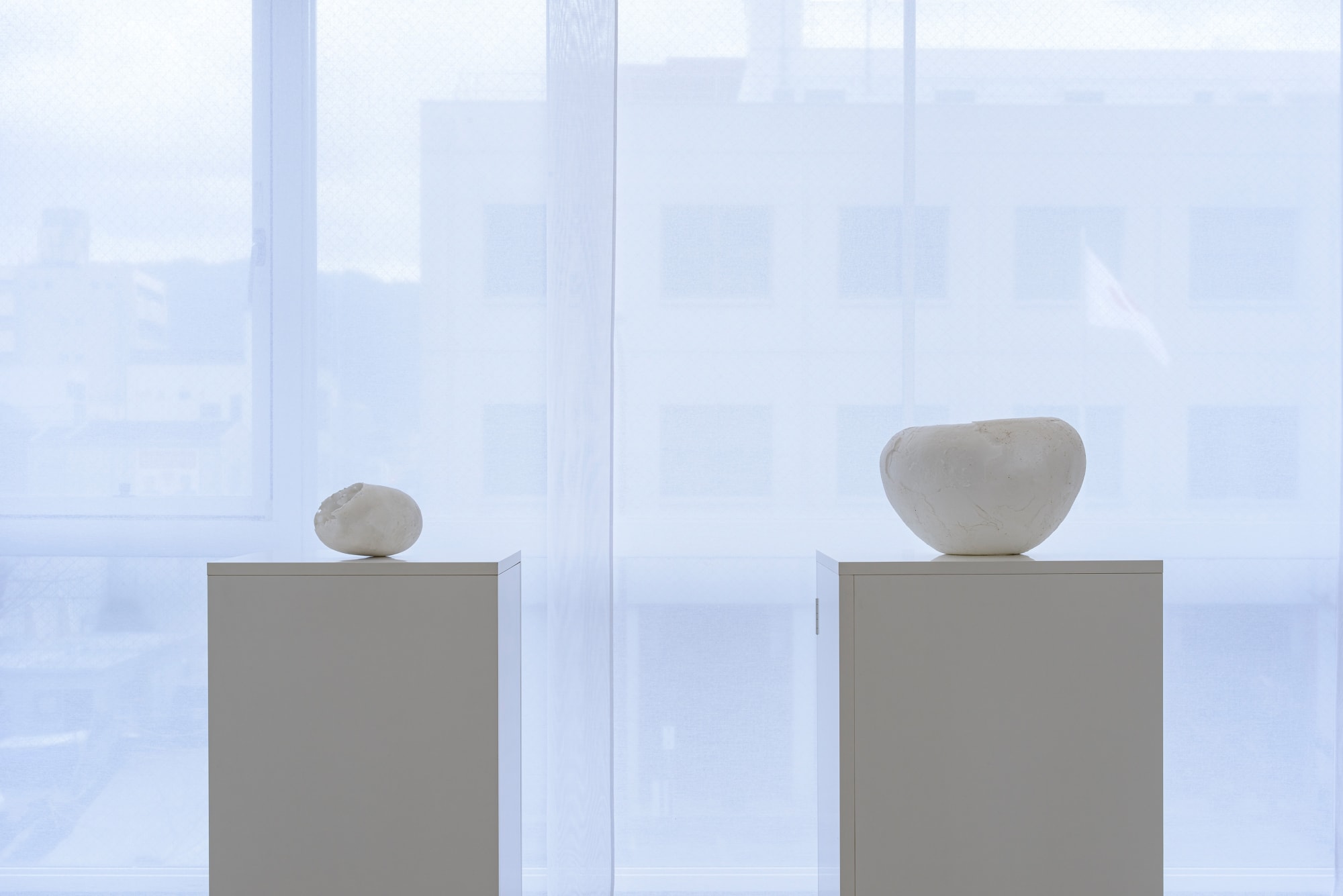 小松 実紀：色づく輪郭