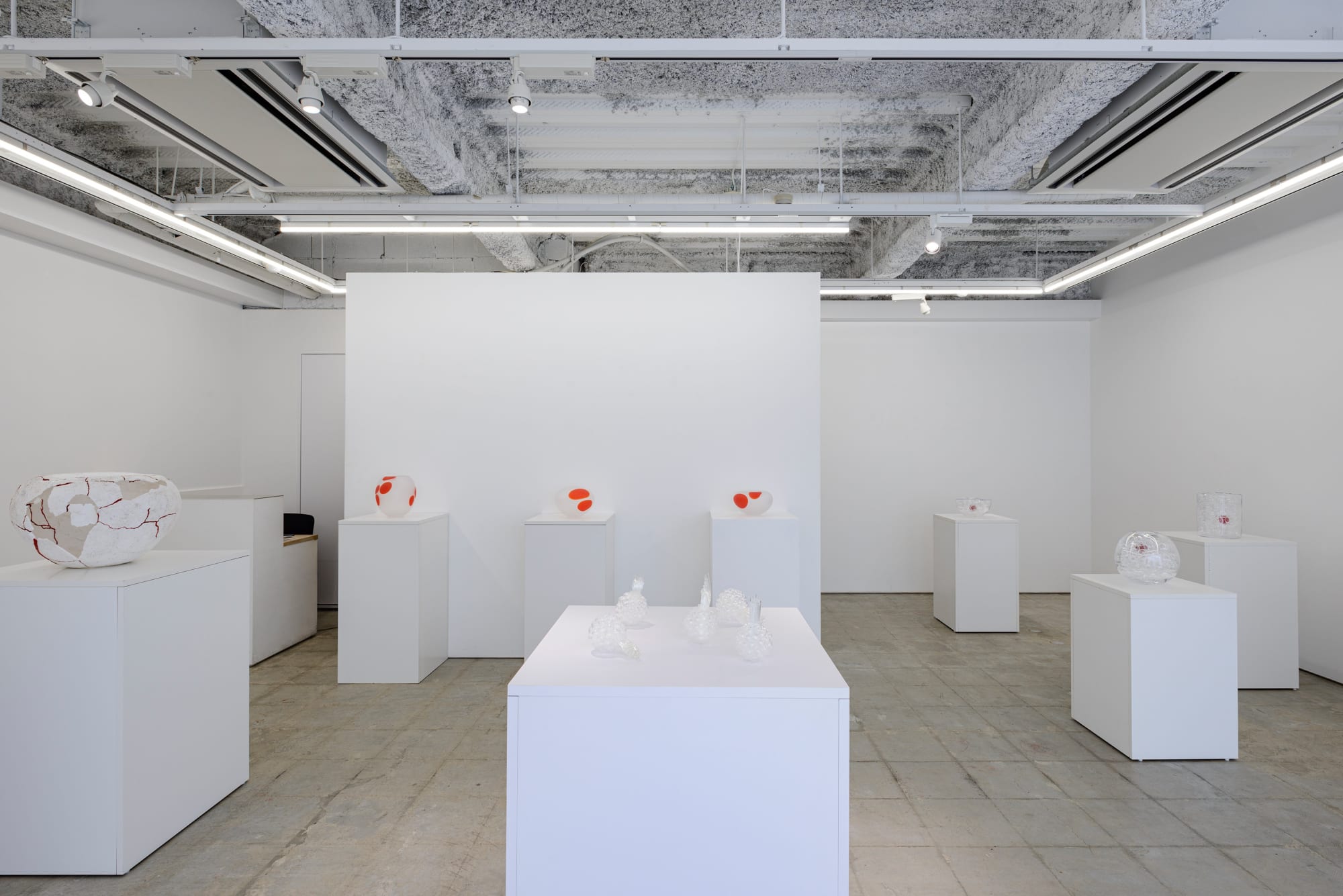 小松 実紀：色づく輪郭