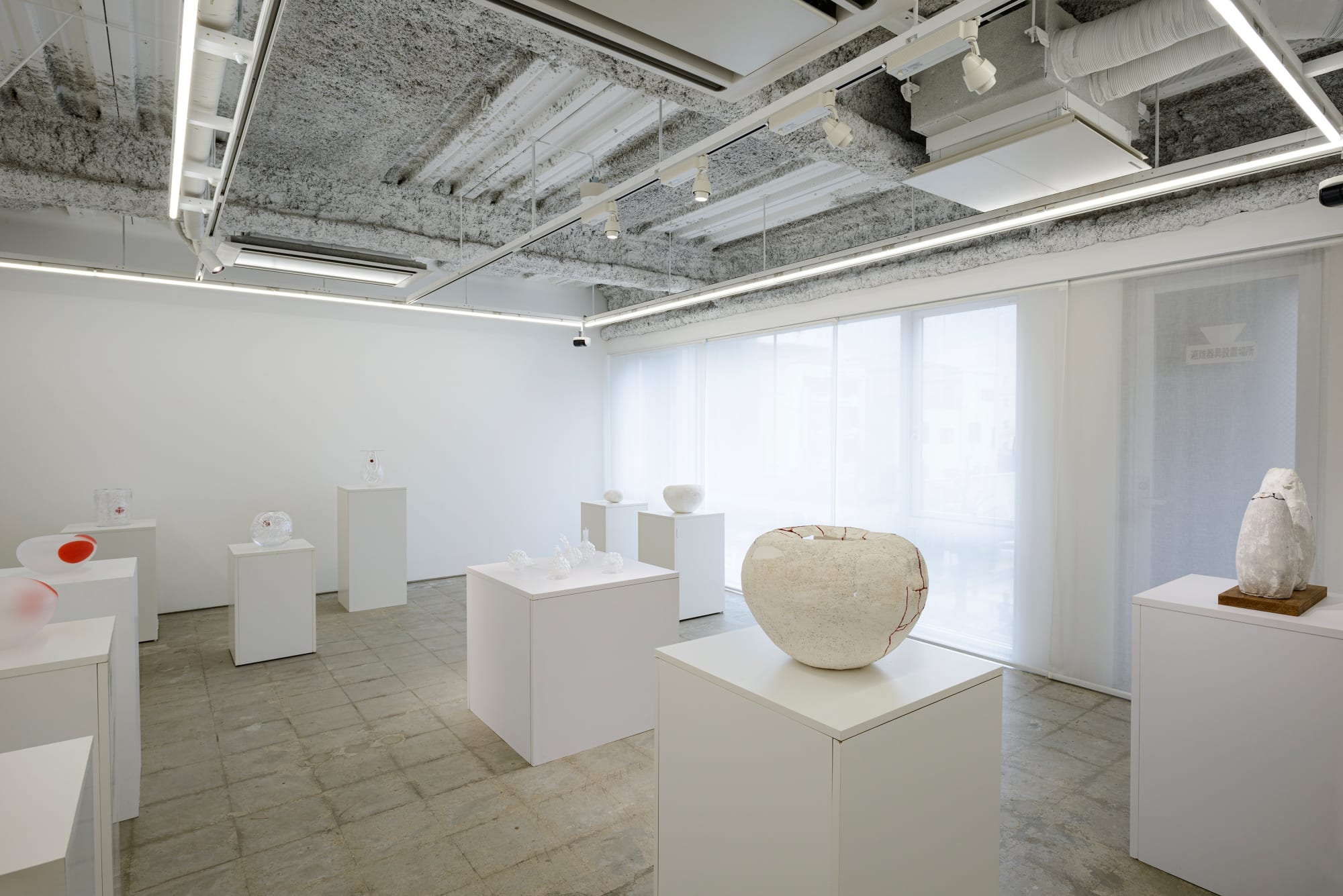 小松 実紀：色づく輪郭