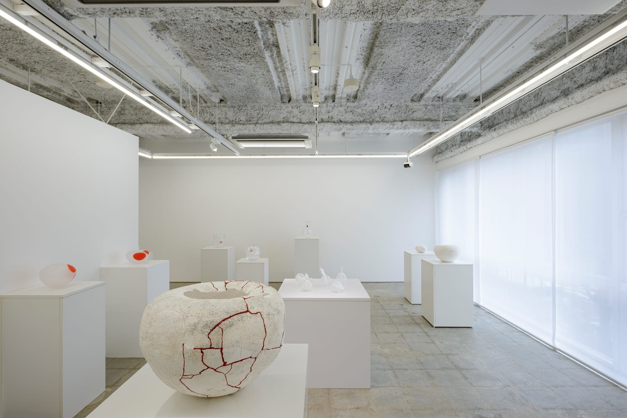 小松 実紀：色づく輪郭