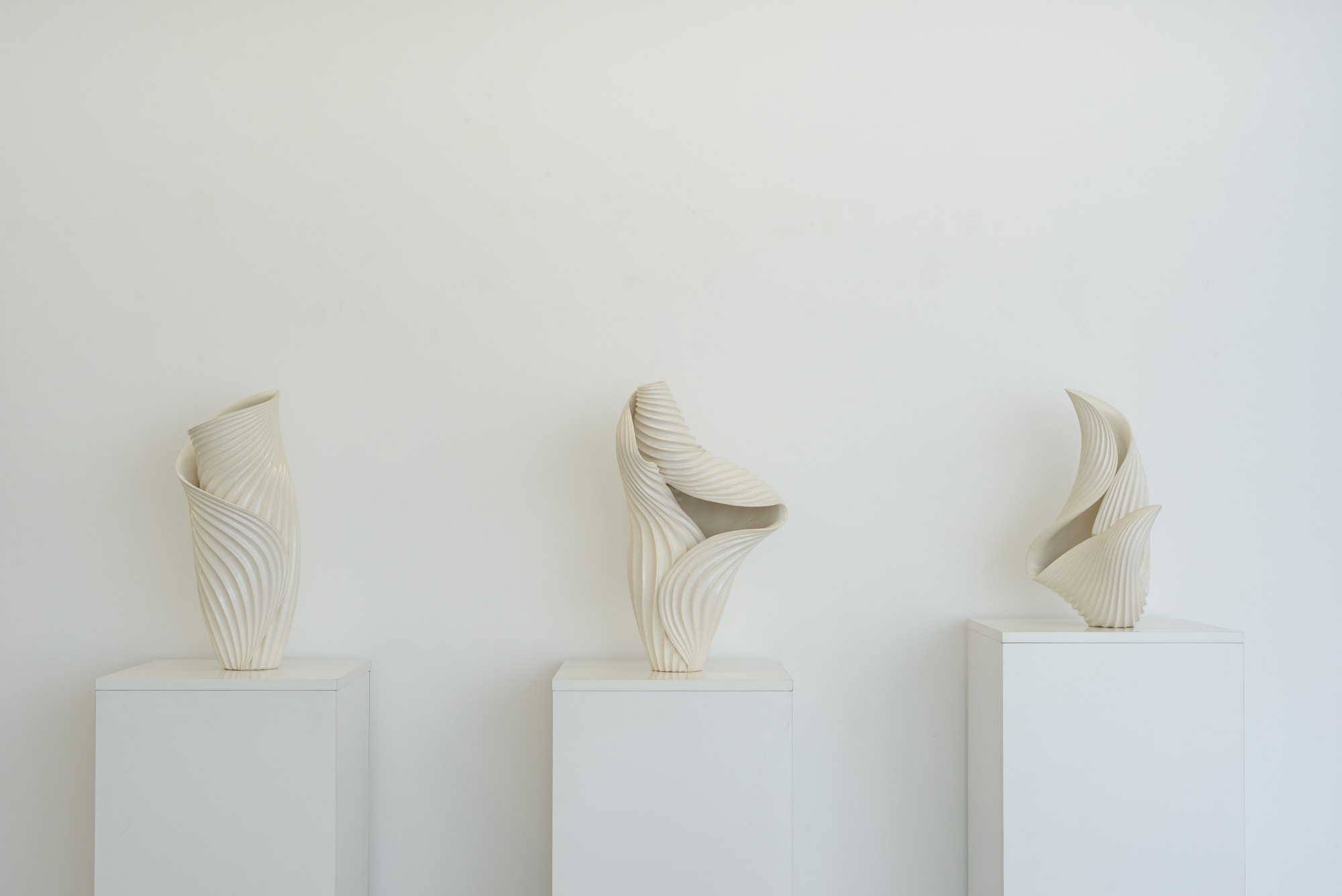 グループ展: 白