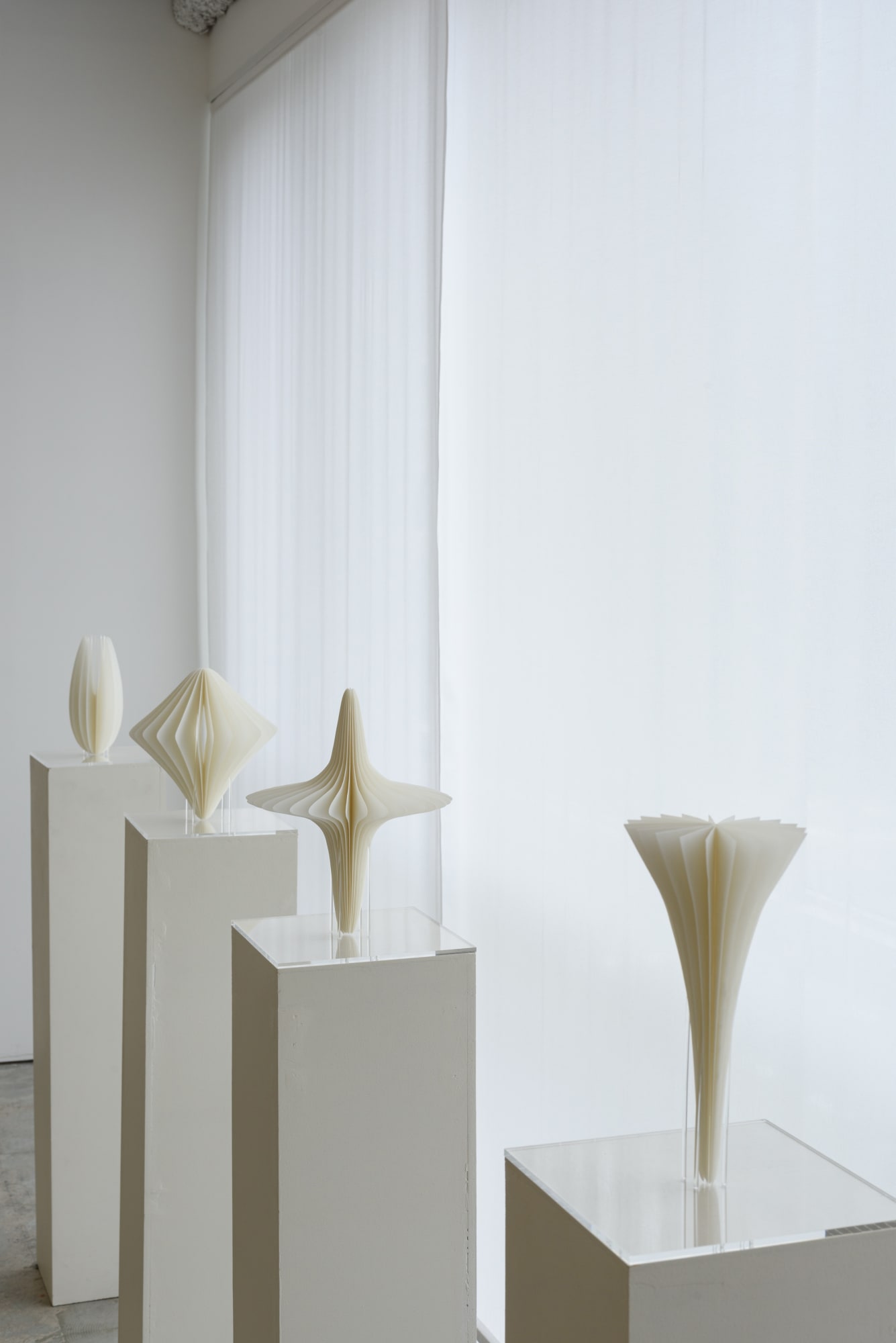 グループ展: 白