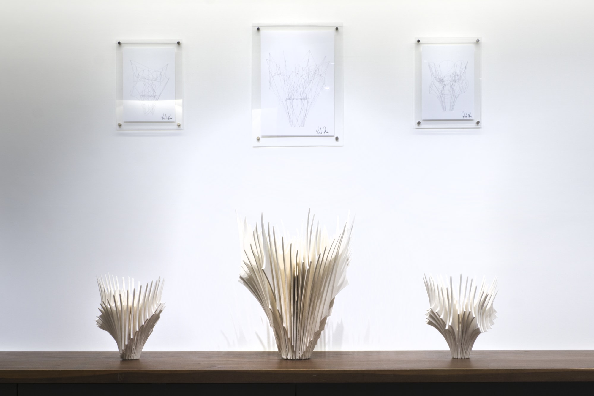 木野智史・奈良祐希：新磁器