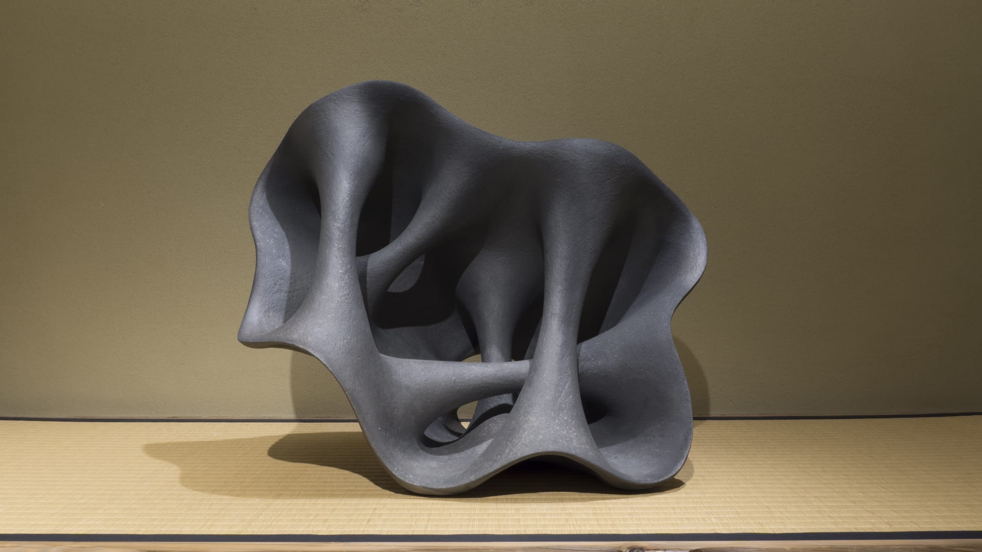 黒川 徹：野生の数学