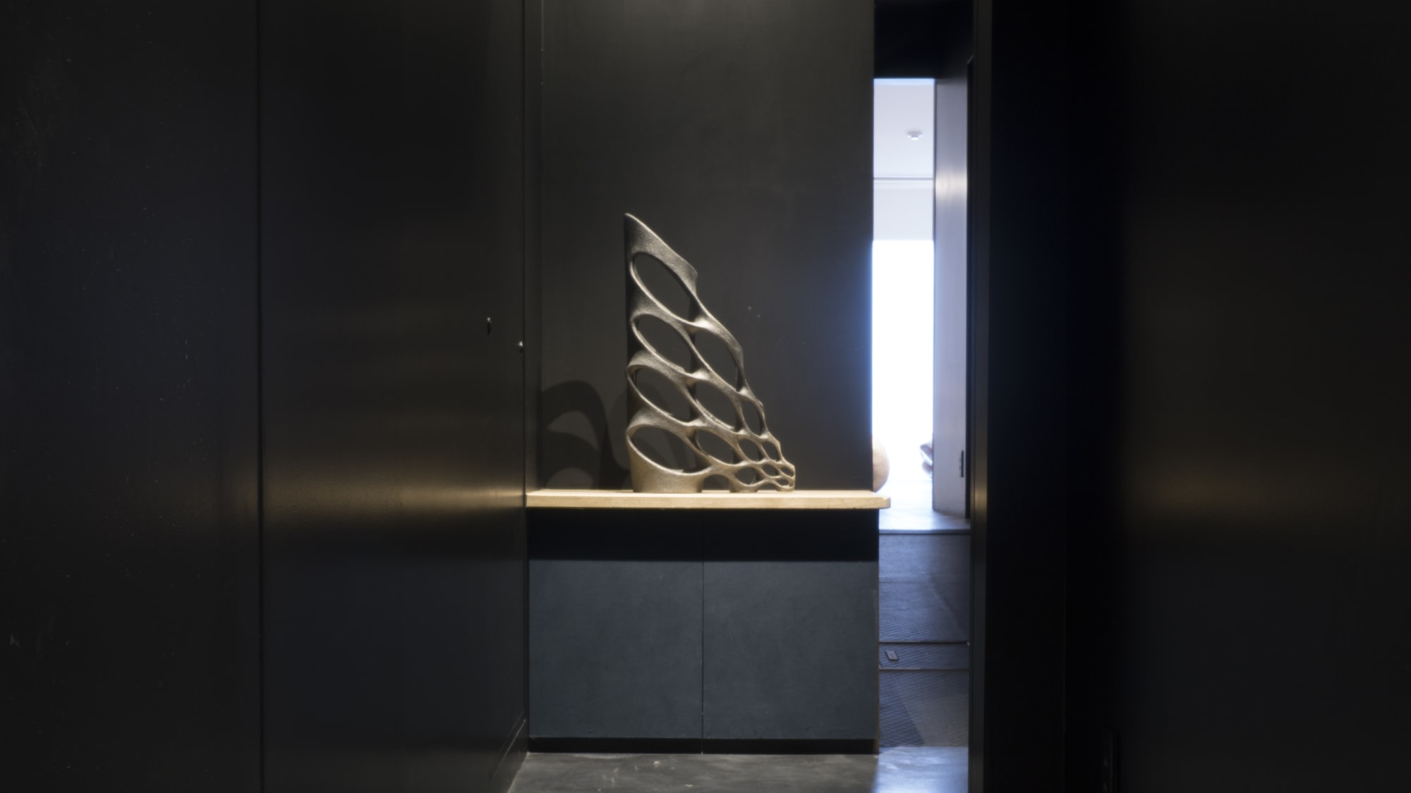 黒川 徹：野生の数学