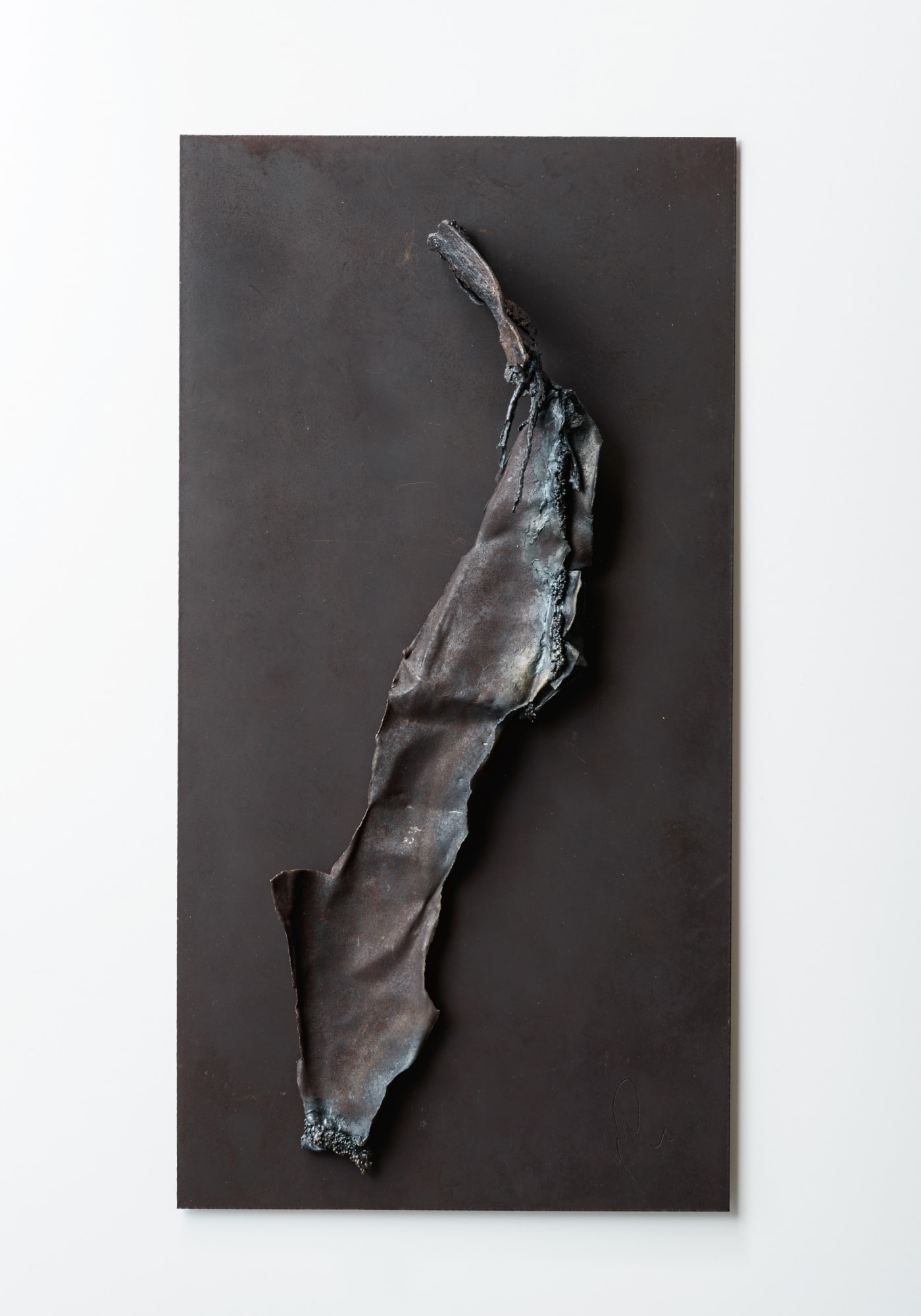 留守 玲, 一朶, 2019