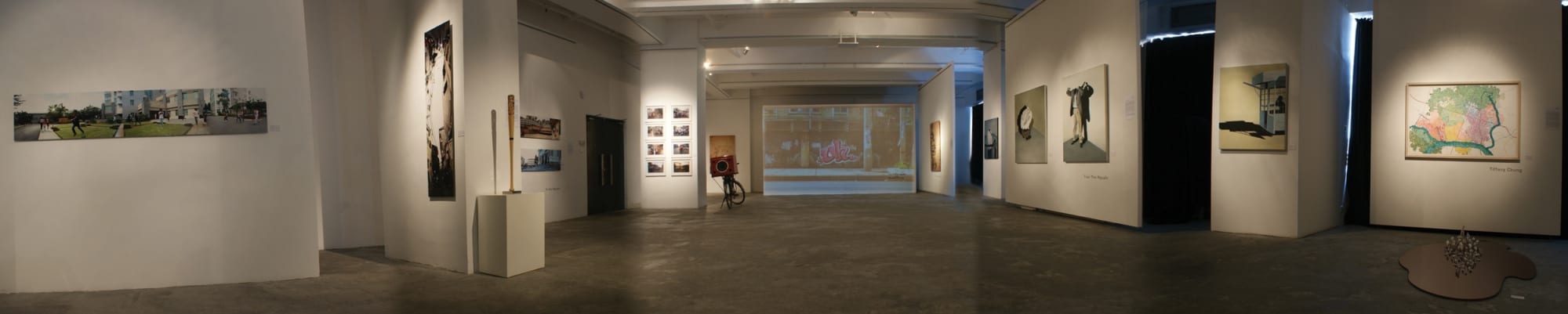 Time Ligaments - Contemporary Vietnamese Artists co-curated by Dinh Q. Lê and Zoe Butt