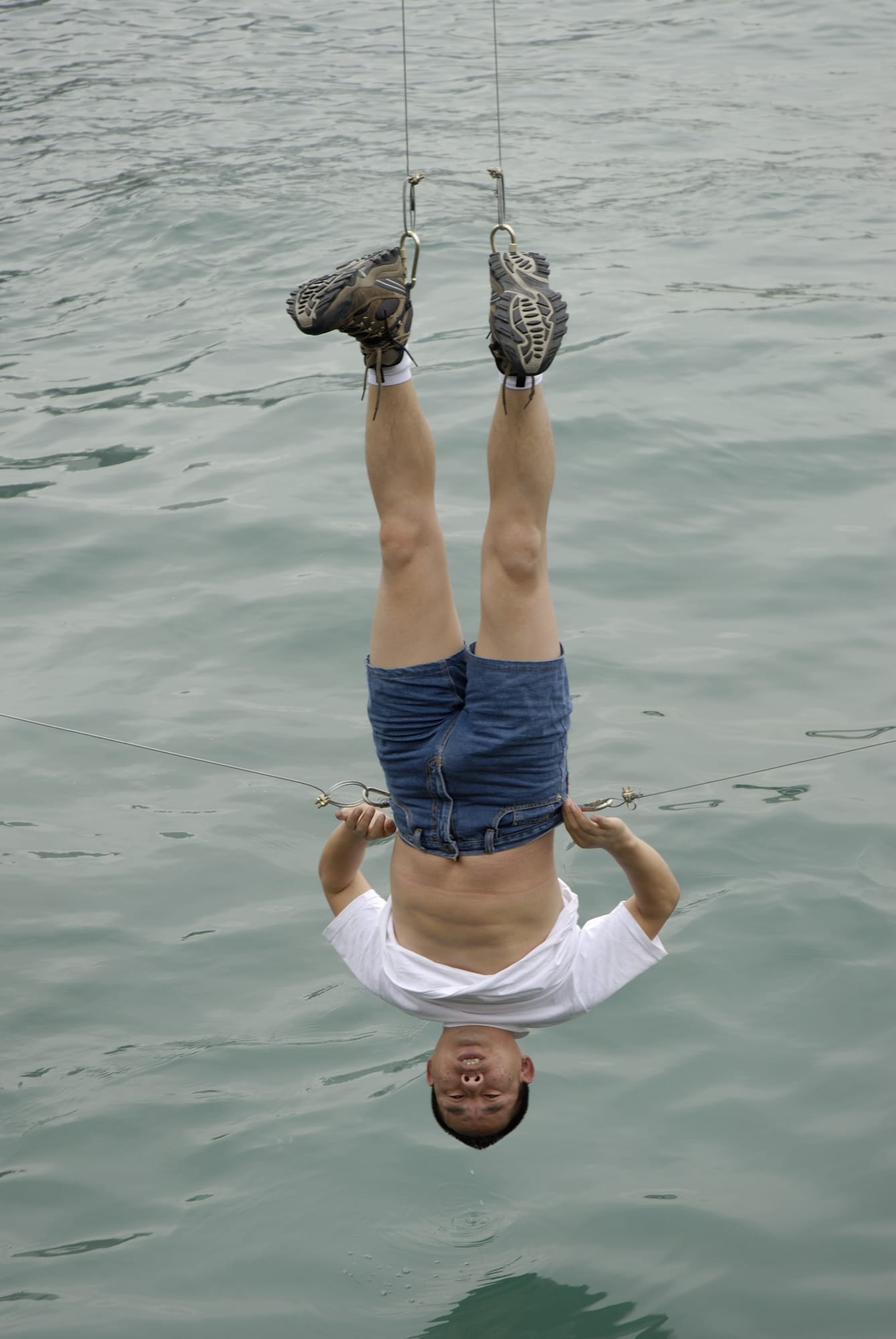 A Pause for Humanity