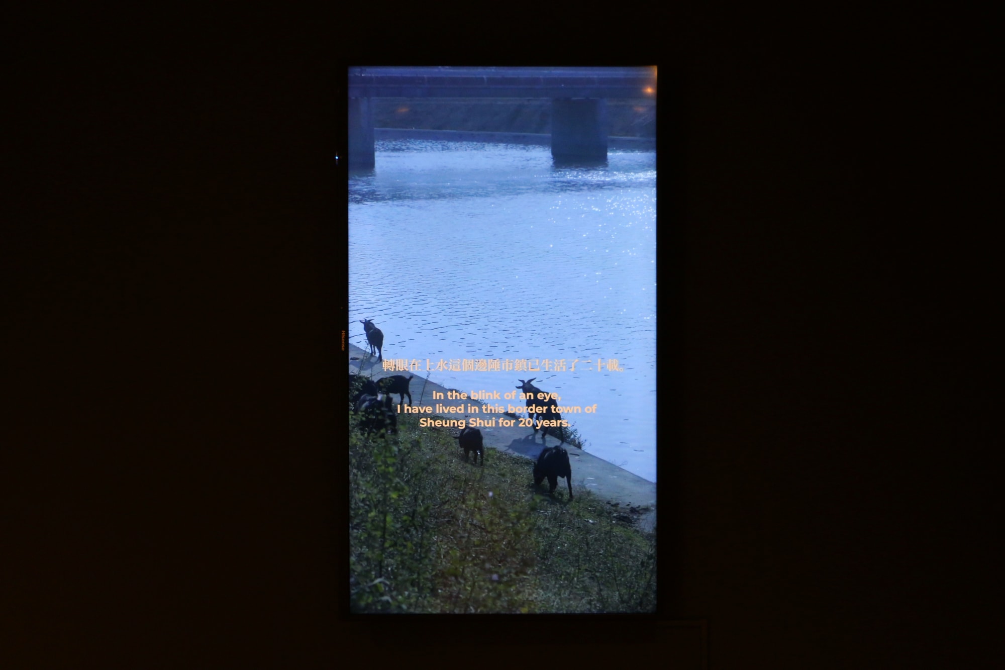 The Tale of Beas River