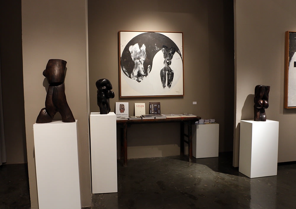 Black and White Cats