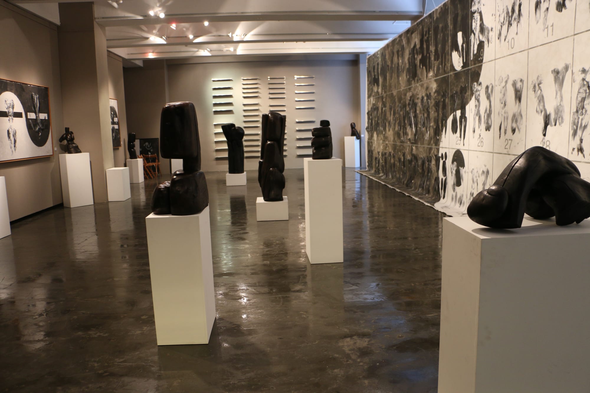 Black and White Cats