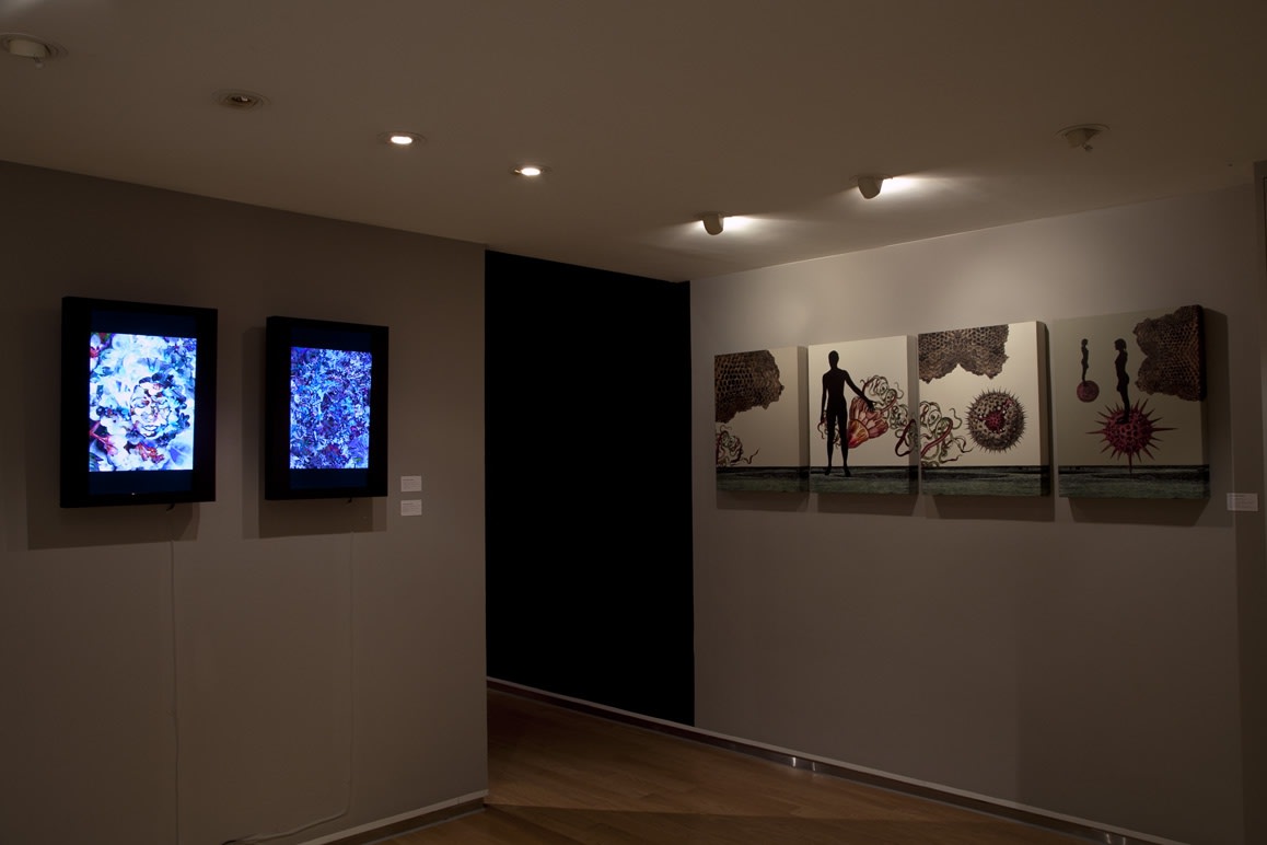 The Embryonic Plant and Otherworlds