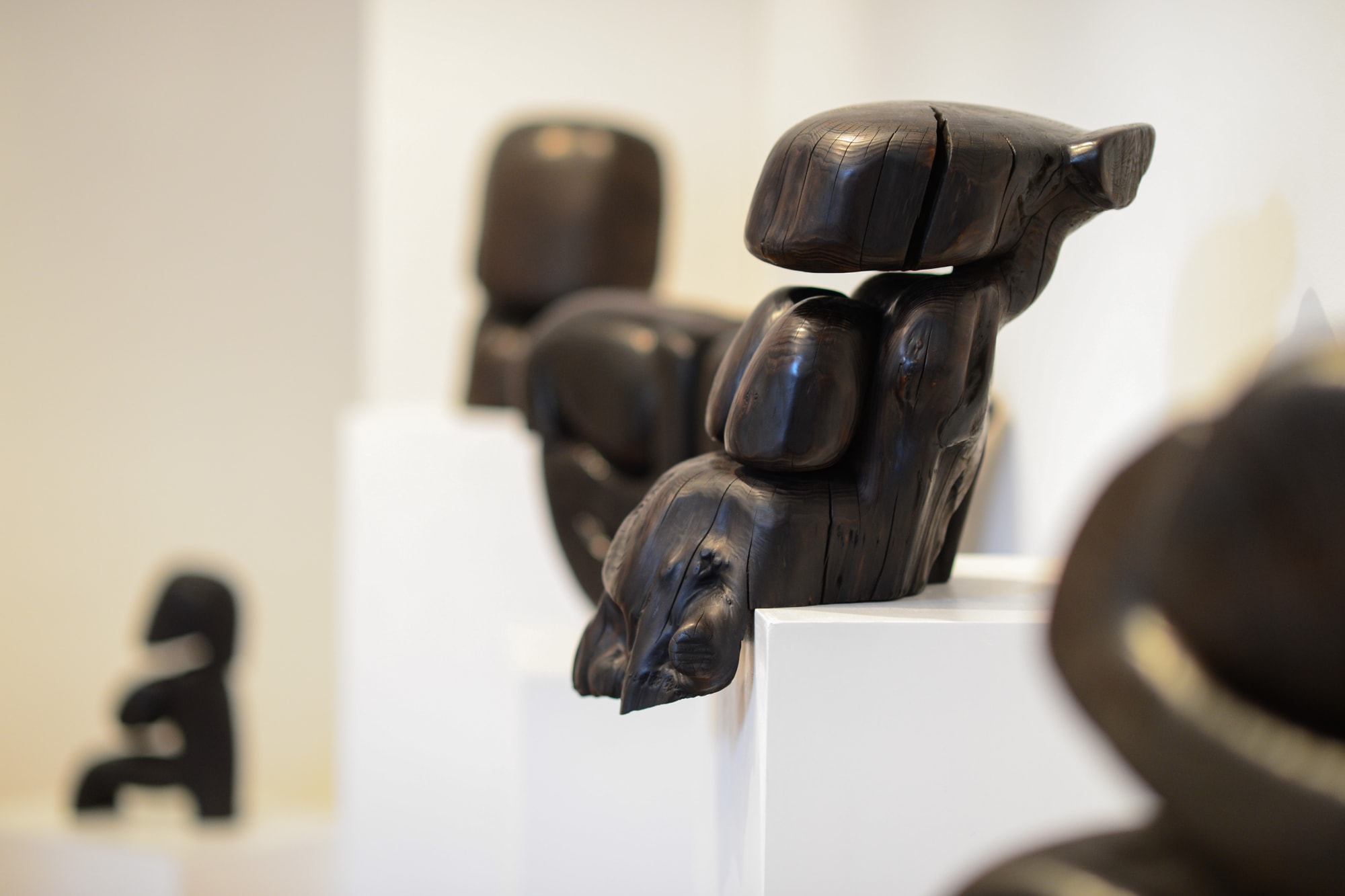 Wood Flesh Form Nothingness