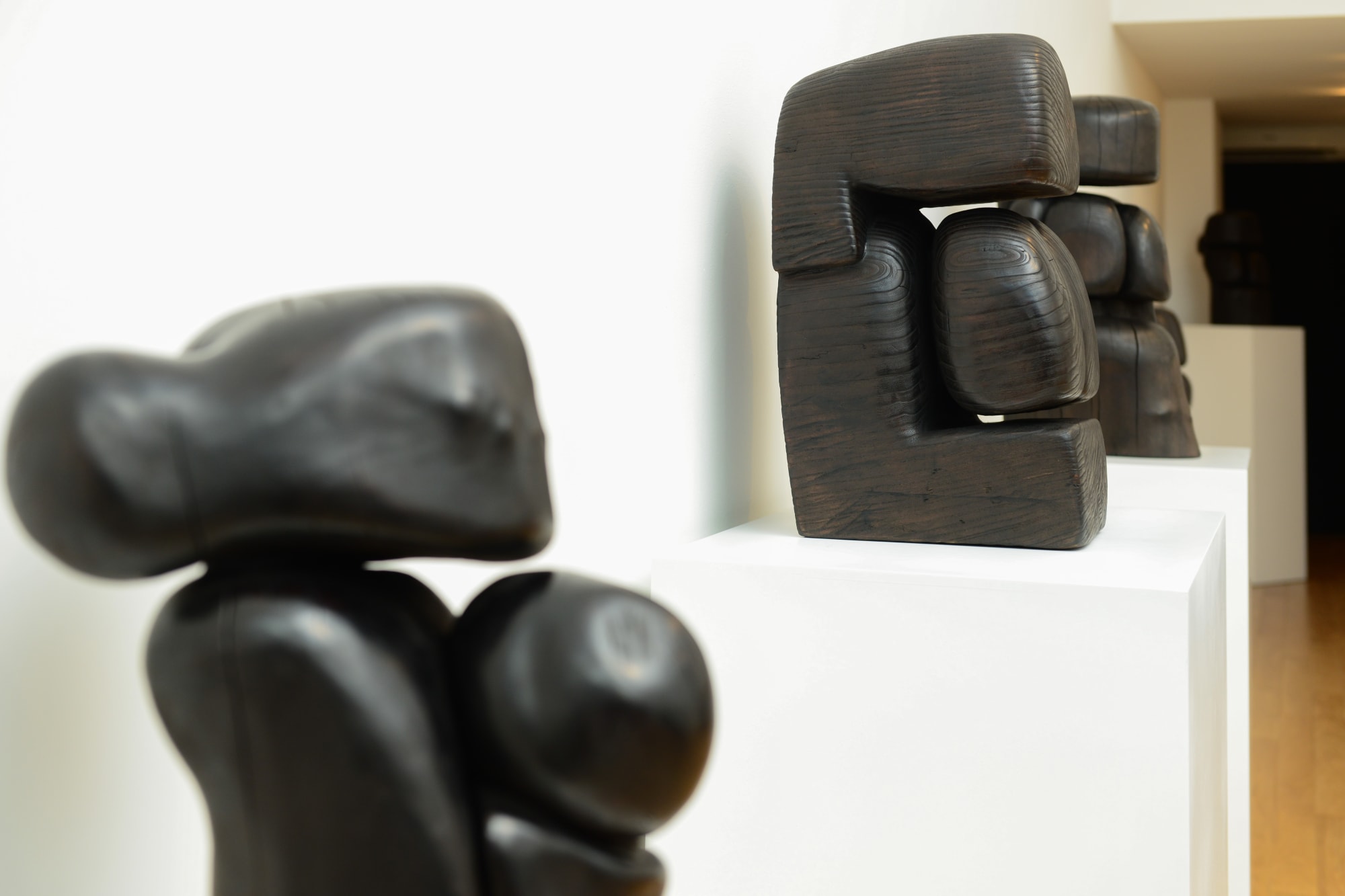 Wood Flesh Form Nothingness