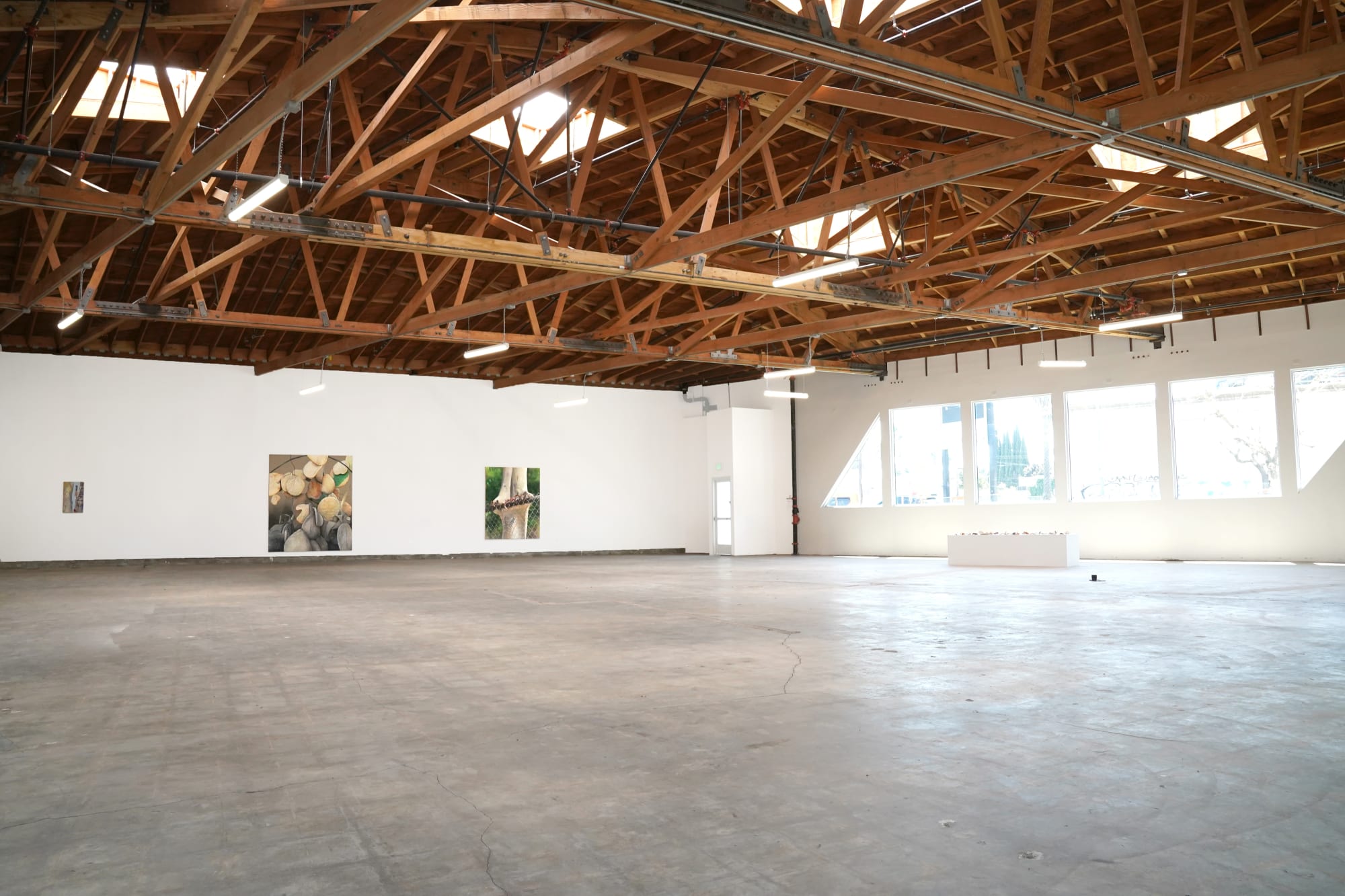 Adele Renault: Things I Can't Unsee